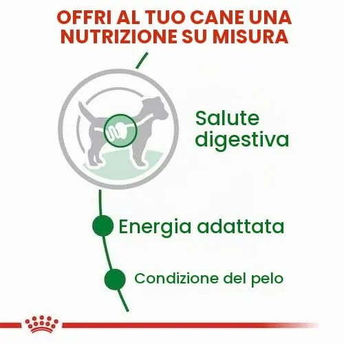 Mini Adult | Cibo umido per cani | 2 x 12 x 85 g | Bocconcini in salsa - immagine 9