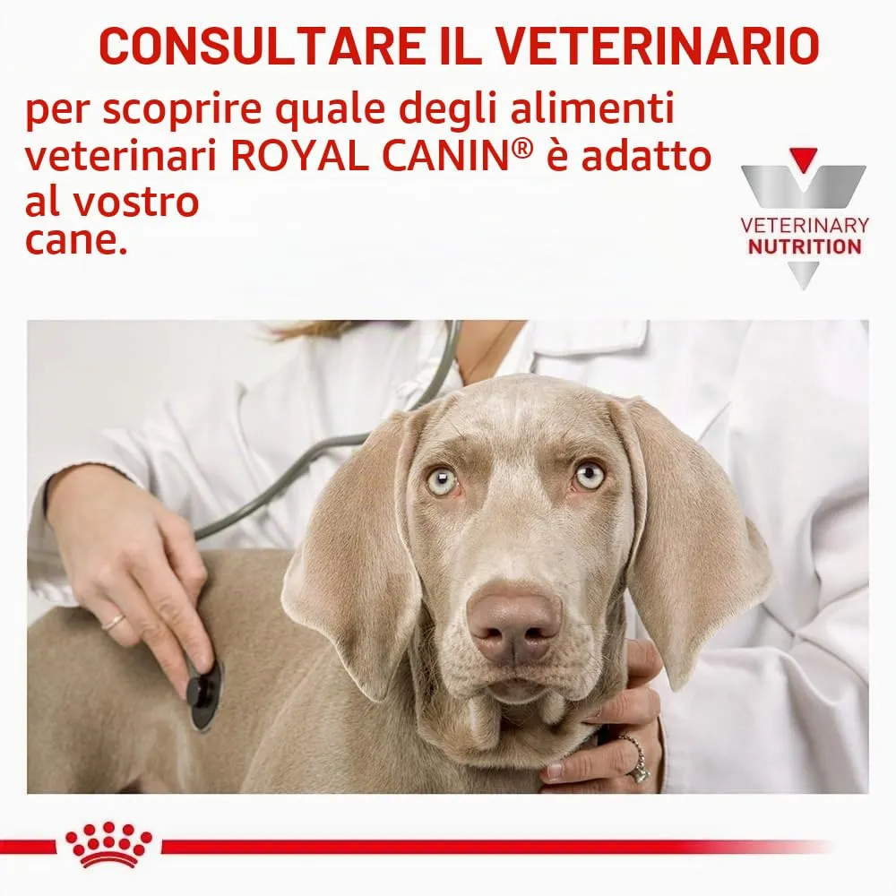 Royal Canin Veterinary Hypoallergenic Small Dogs | 3,5 kg | Alimento dietetico completo per cani di piccola taglia adulti | Per ridurre i segni di intolleranza ai nutrienti - immagine 7