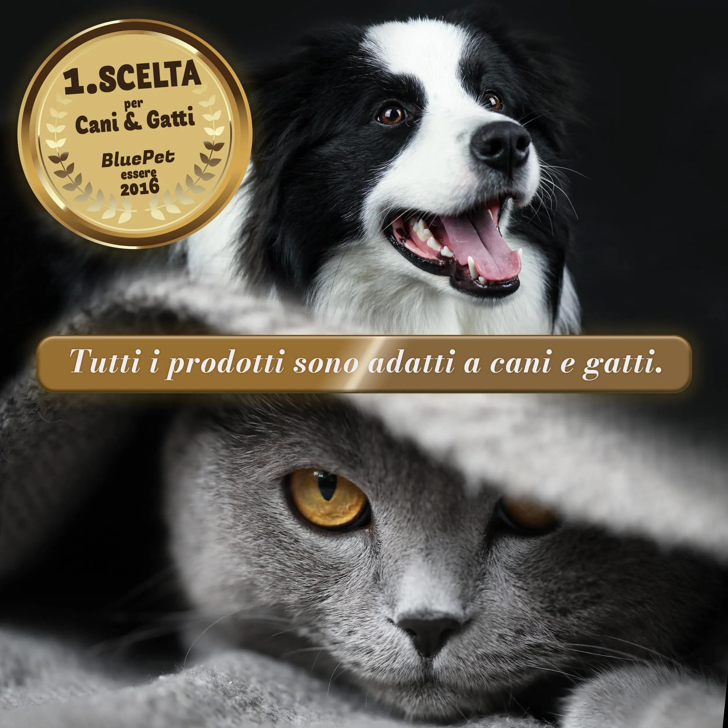 BluePet Spazzola per Cani & Gatto, Pettine Pelo Lungo, Cardatore Sottopelo - immagine 6