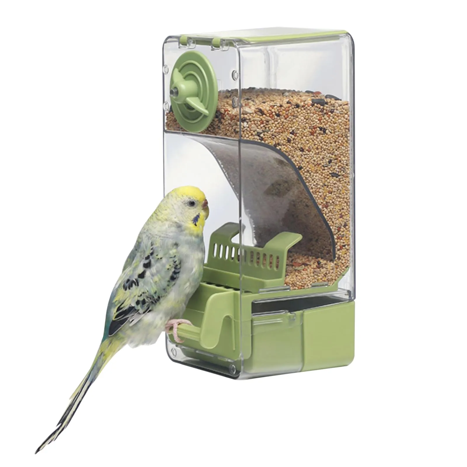 Mangiatoia automatica per uccelli, mangiatoia per gabbia per uccelli con trespolo per parrocchetto canarino calopsitta fringuello (Verde) - immagine 1