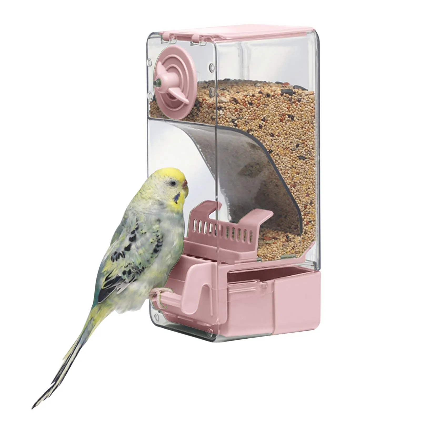 Mangiatoia automatica per uccelli, mangiatoia per gabbia per uccelli con trespolo per parrocchetto canarino calopsitta fringuello (Rosa) - immagine 1