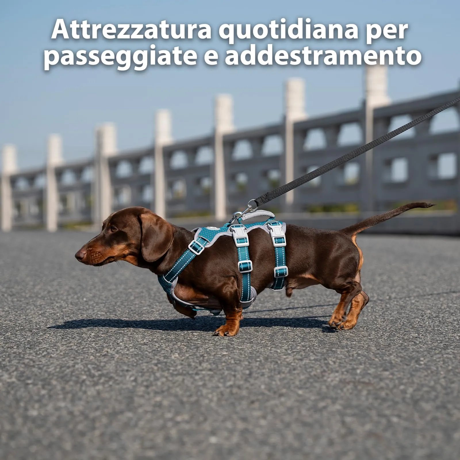 Huntboo Imbracatura anti-fuga sicura per cani, completamente riflettente con manico, traspirante, gilet regolabile piccola taglia - immagine 7