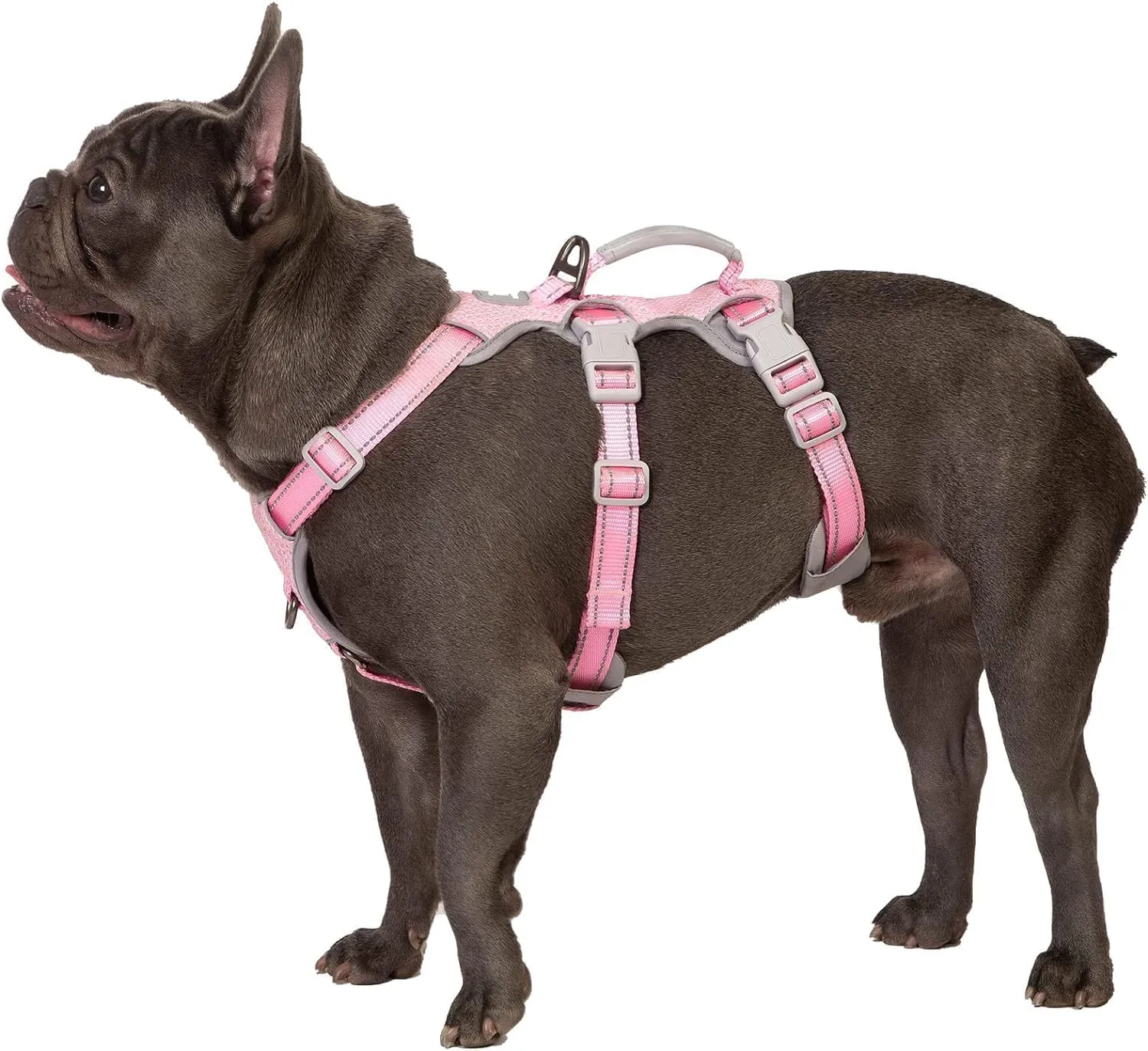 Huntboo Pettorina per Cani a Prova di Fuga, Sicura e Riflettente, Traspirante e Regolabile per Cani di Piccola Taglia - immagine 1