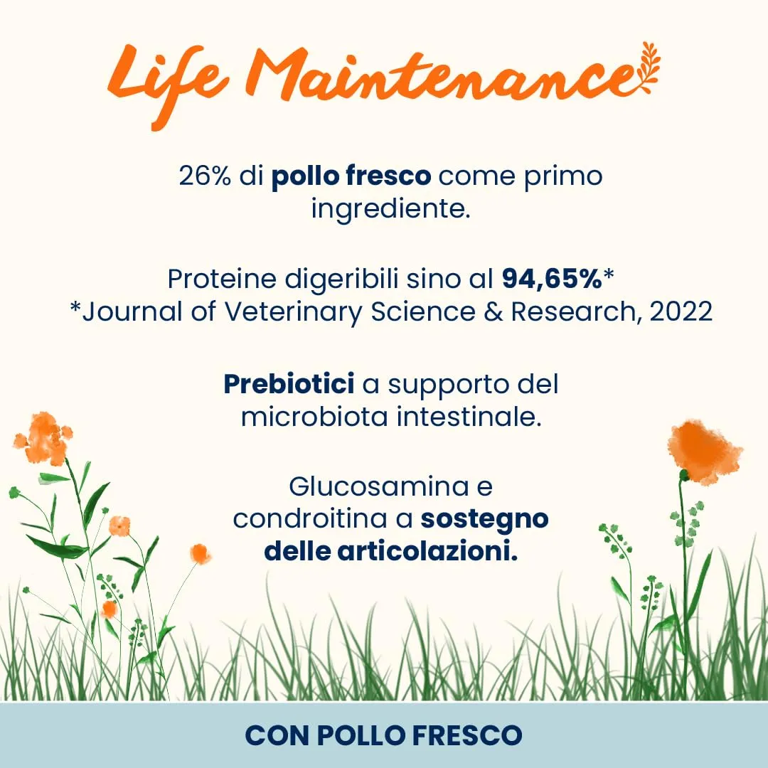 Almo Nature Life Maintenance Cibo Secco per Cane L al Pollo 12 kg – Crocchette Complete per Cani Adulti di Taglia Grande - immagine 2