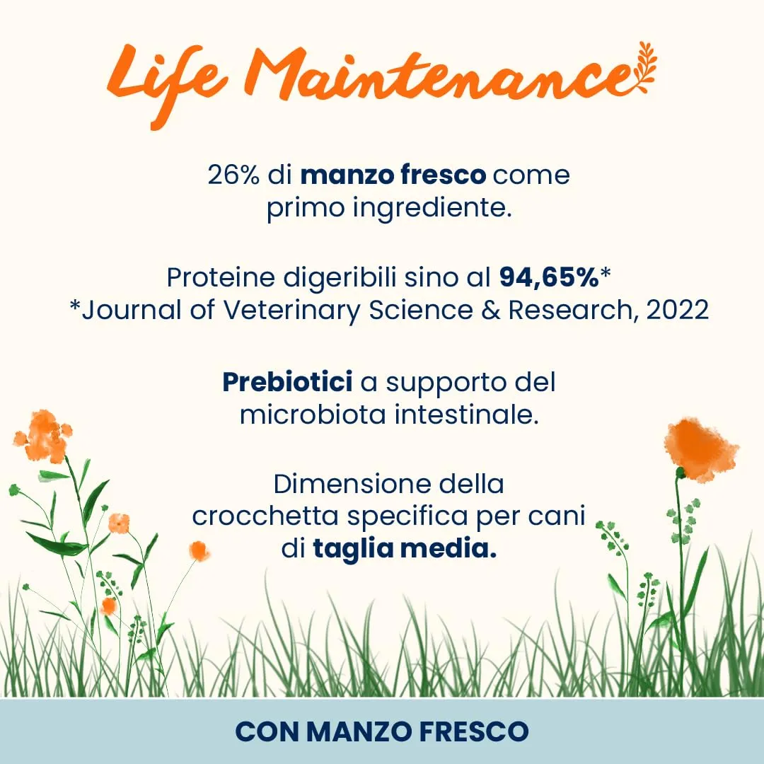 Almo Nature Life Maintenance Cibo Secco per Cane M al Manzo 12 kg – Crocchette Complete per Cani Adulti di Taglia Media - immagine 2