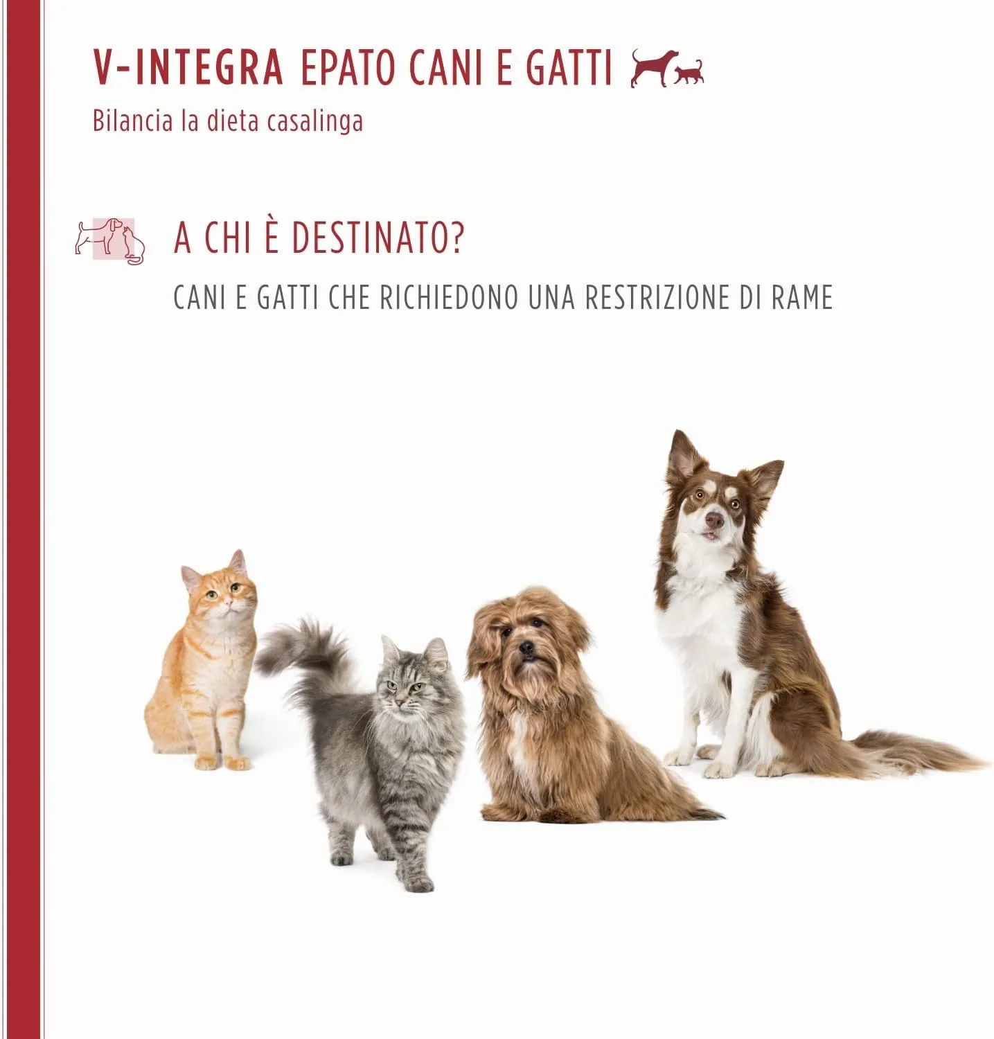 V-INTEGRA Epato 200g, Integratore Vitamine e Minerali per Bilanciare Diete Casalinghe di Cani e Gatti che Richiedono una Restrizione di Rame, Multivitaminico Cane e Gatto Made in Italy - immagine 3