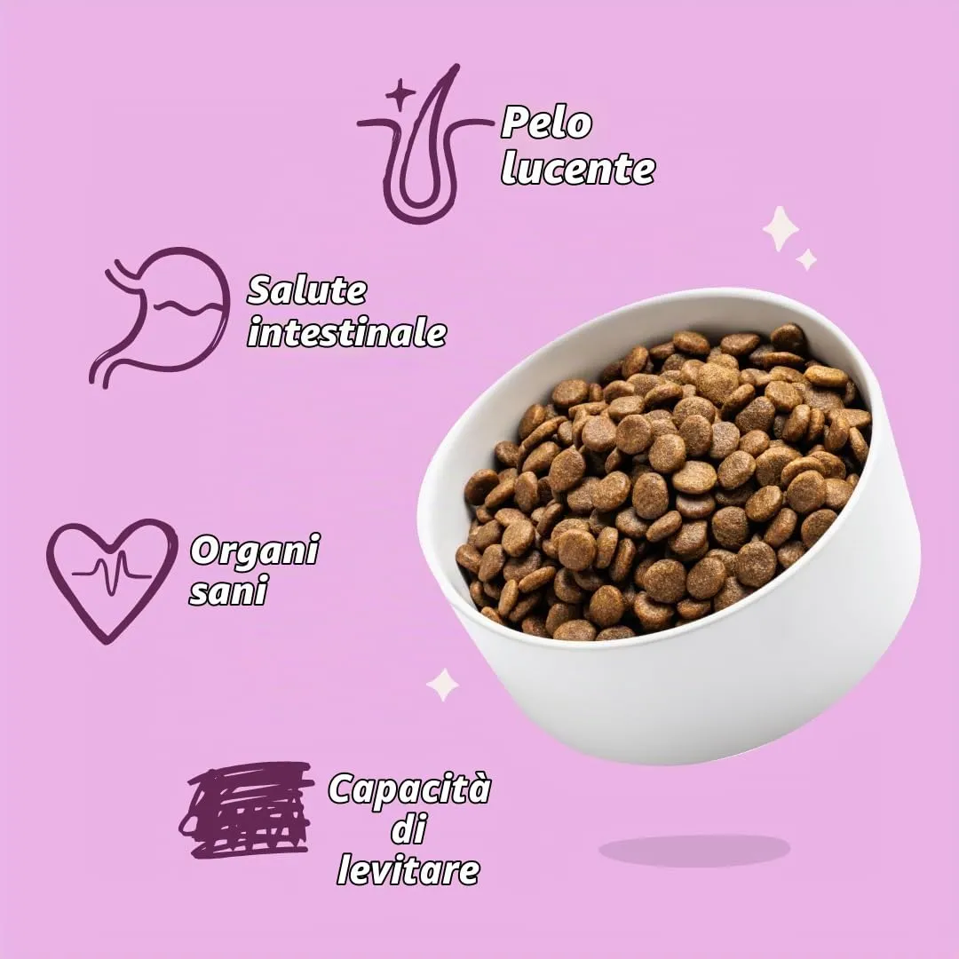 Edgard & Cooper Crochette Cani Adulti Senza Cereali Per Cani Di Taglia Grande (12kg), Cervo e Anatra Freschi, Ricetta Ipoallergenica Con Mela, Cavolo Riccio e Rosa Canina, Senza Farine Di Carne - immagine 6