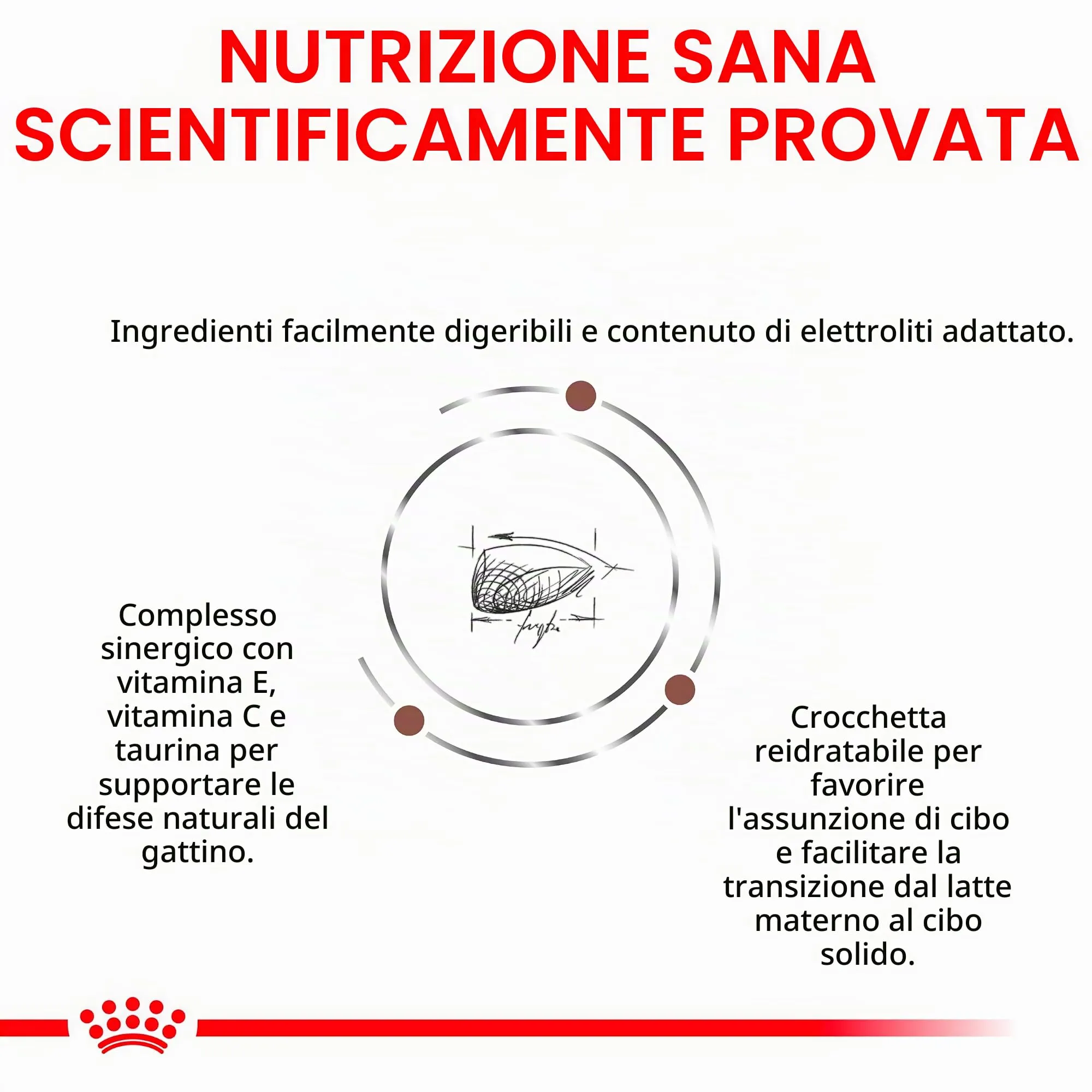 Royal Canin Gastrointestinal Feline Kitten - immagine 4