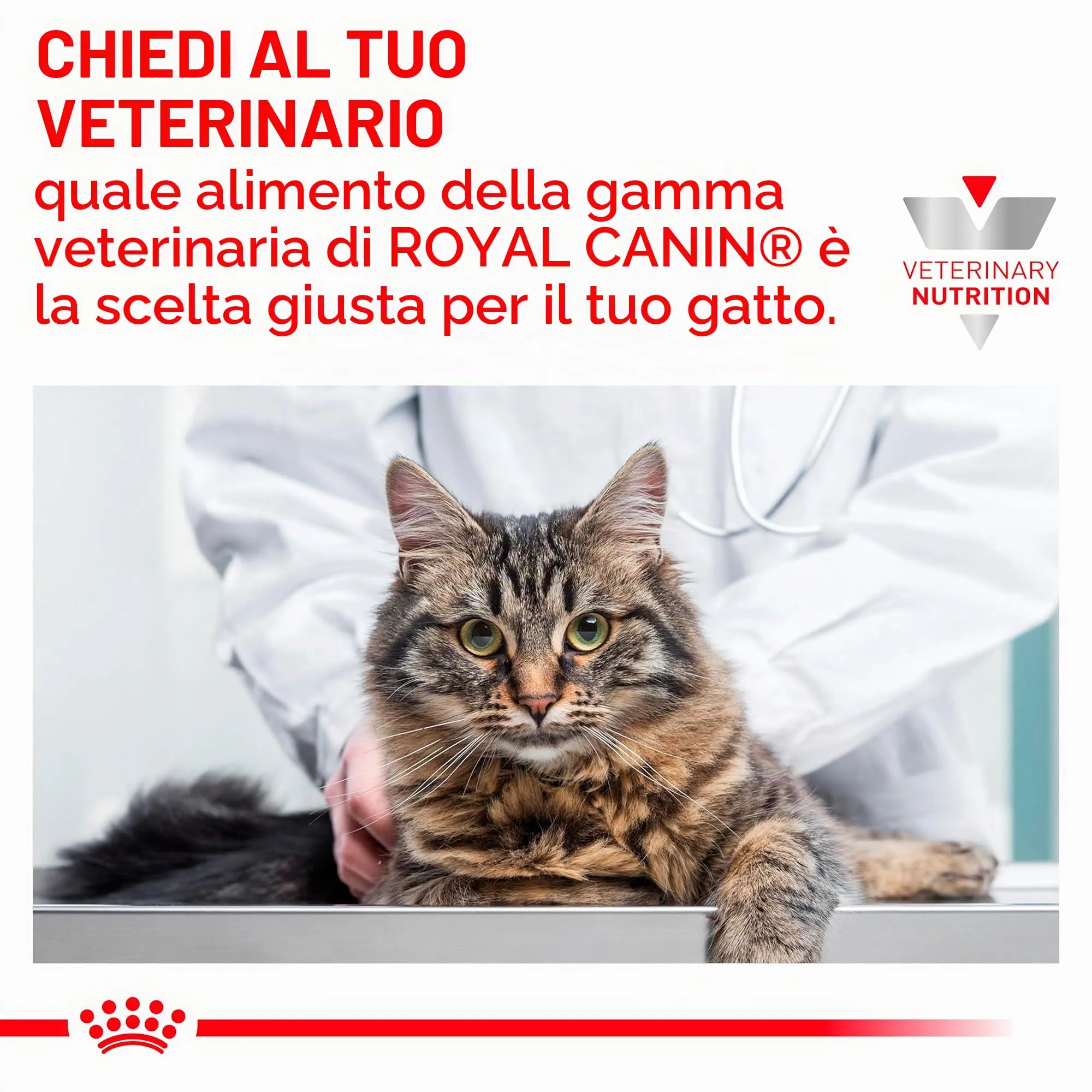 Royal Canin Gastrointestinal Feline Kitten - immagine 9
