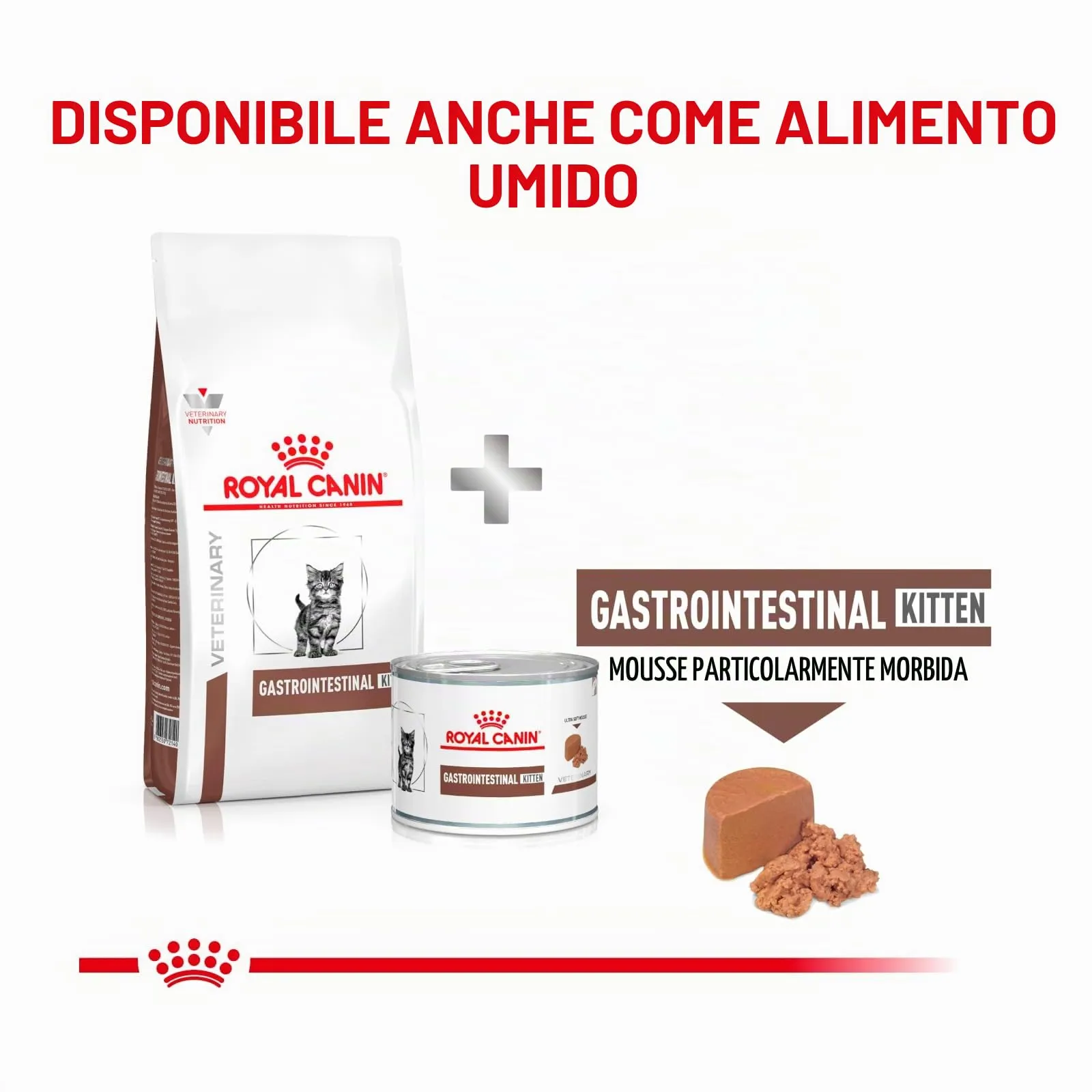 Royal Canin Gastrointestinal Kitten Feline - 2 kg - Alimento dietetico completo per gattini - Può contribuire a ridurre i disturbi gastrointestinali - immagine 3