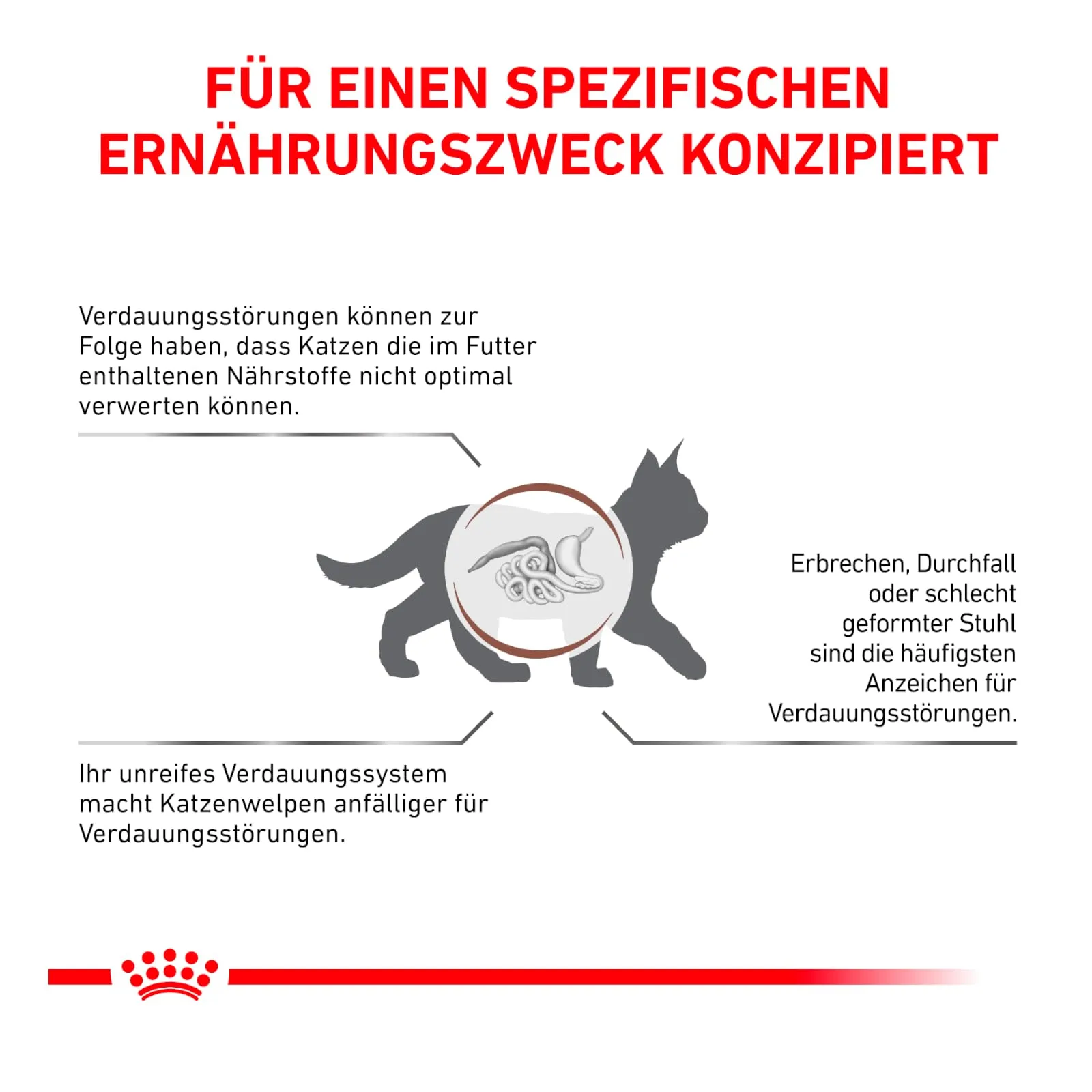 Royal Canin Gastrointestinal Kitten Feline - 2 kg - Alimento dietetico completo per gattini - Può contribuire a ridurre i disturbi gastrointestinali - immagine 4