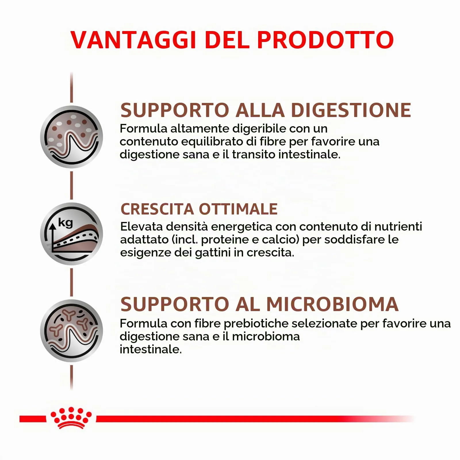 Royal Canin Gastrointestinal Kitten Feline - 2 kg - Alimento dietetico completo per gattini - Può contribuire a ridurre i disturbi gastrointestinali - immagine 7