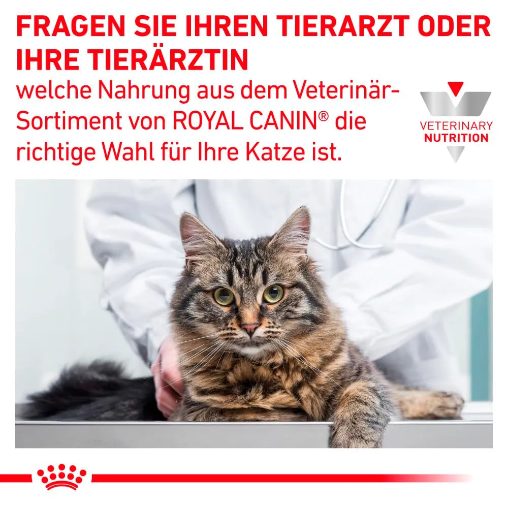 Royal Canin Veterinary Gastrointestinal Hairball | 2 kg | Alimento dietetico completo per gatti adulti | Per supportare la digestione e ridurre la formazione di boli di pelo - immagine 6