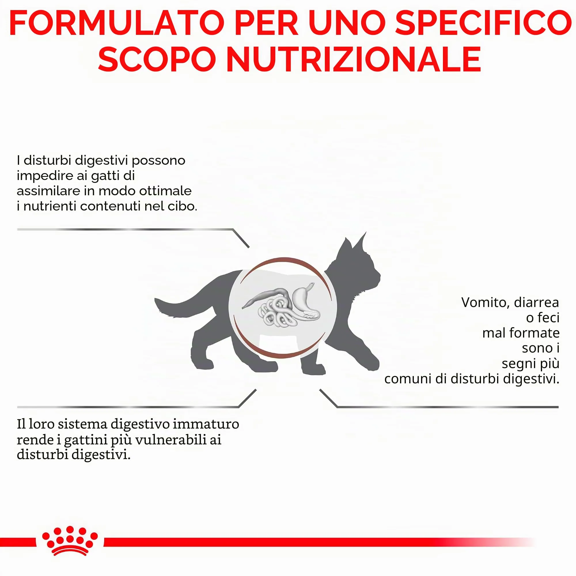 Royal Canin Gastrointestinal Kitten Feline | Confezione doppia | 2 x 400 g | Alimento dietetico completo per gattini | Può contribuire a ridurre i disturbi gastrointestinali - immagine 8