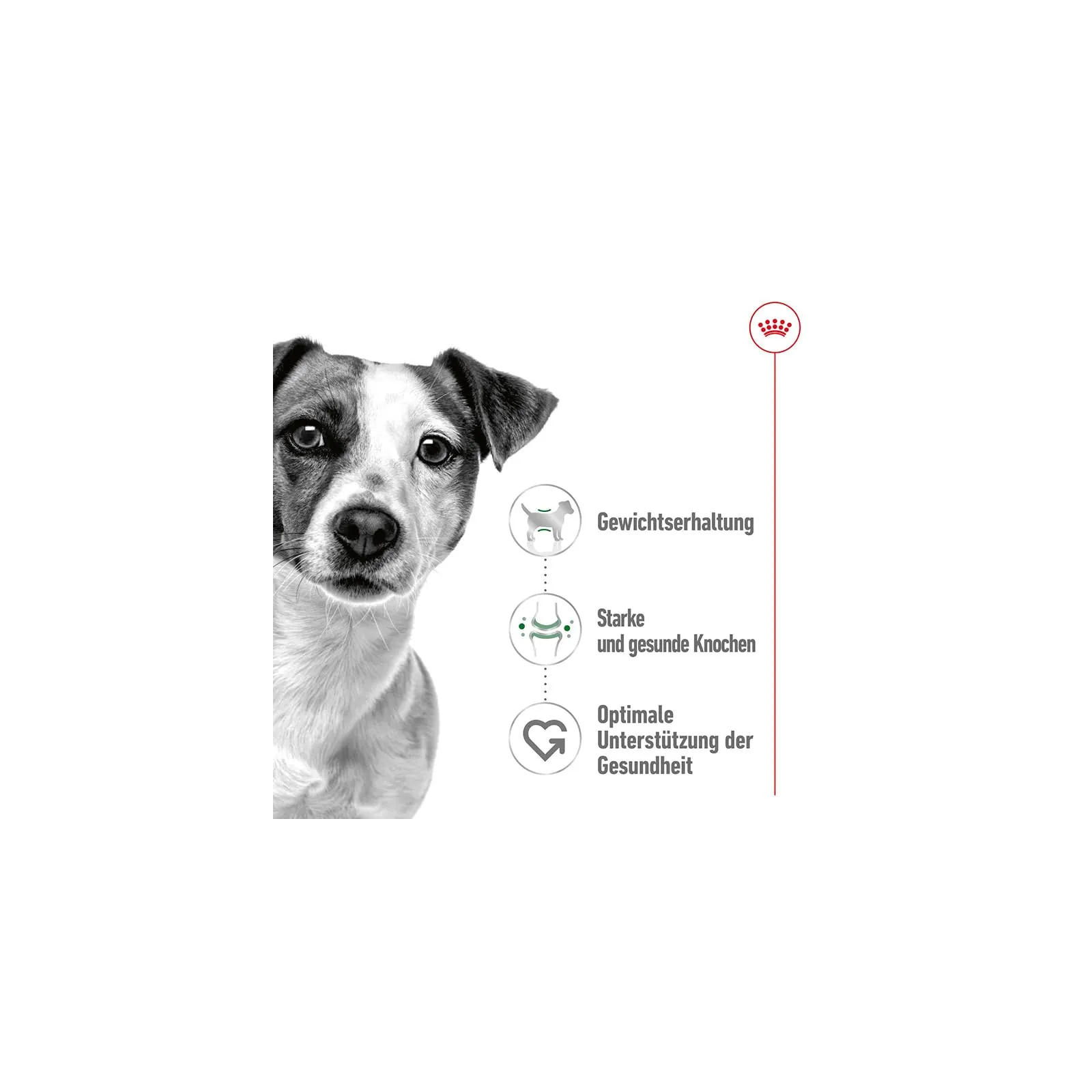 Mini Adult | Cibo umido per cani | 4 x 12 x 85 g | Bocconcini in salsa - immagine 4