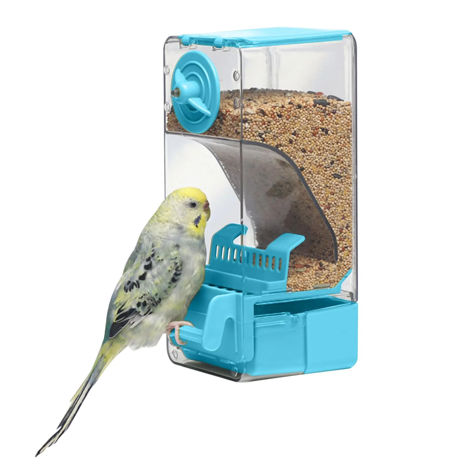 Mangiatoia automatica per uccelli, mangiatoia per gabbia per uccelli con trespolo per parrocchetto canarino calopsitta fringuello (Blu) - immagine 1