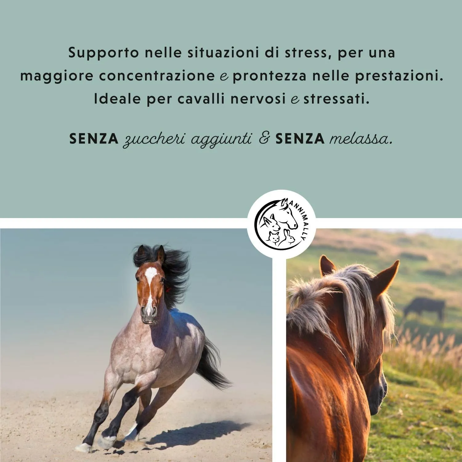 Annimally Pellet di Magnesio per Cavalli 1 kg - Acetato di Magnesio e Ossido di Magnesio per la Massima biodisponibilità - immagine 2