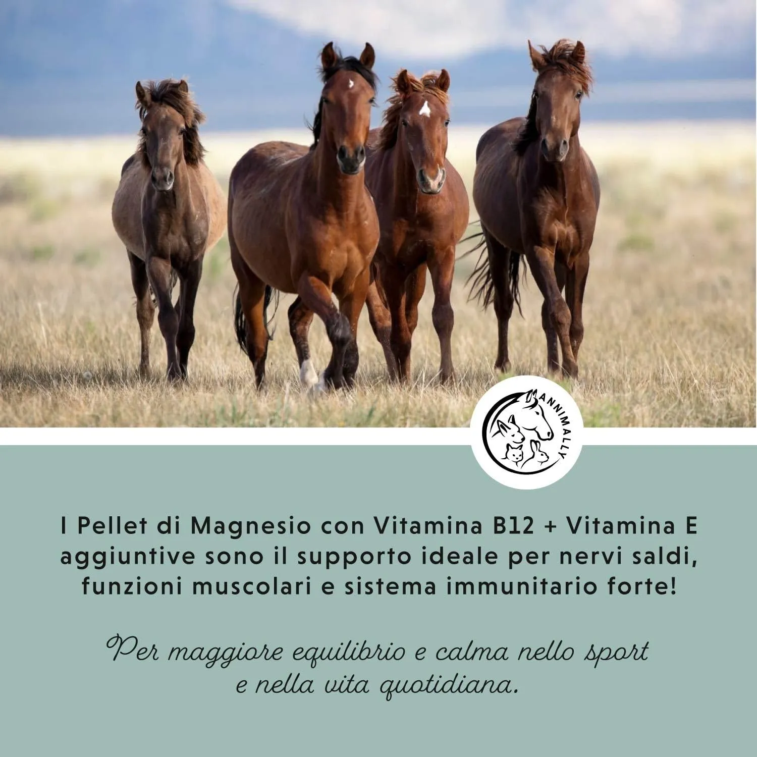 Annimally Pellet di Magnesio per Cavalli 1 kg - Acetato di Magnesio e Ossido di Magnesio per la Massima biodisponibilità - immagine 3