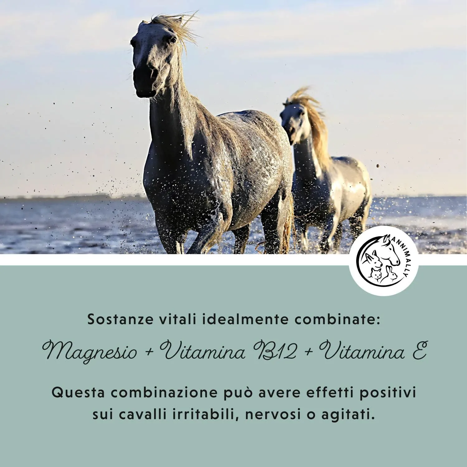 Annimally Pellet di Magnesio per Cavalli 1 kg - Acetato di Magnesio e Ossido di Magnesio per la Massima biodisponibilità - immagine 4