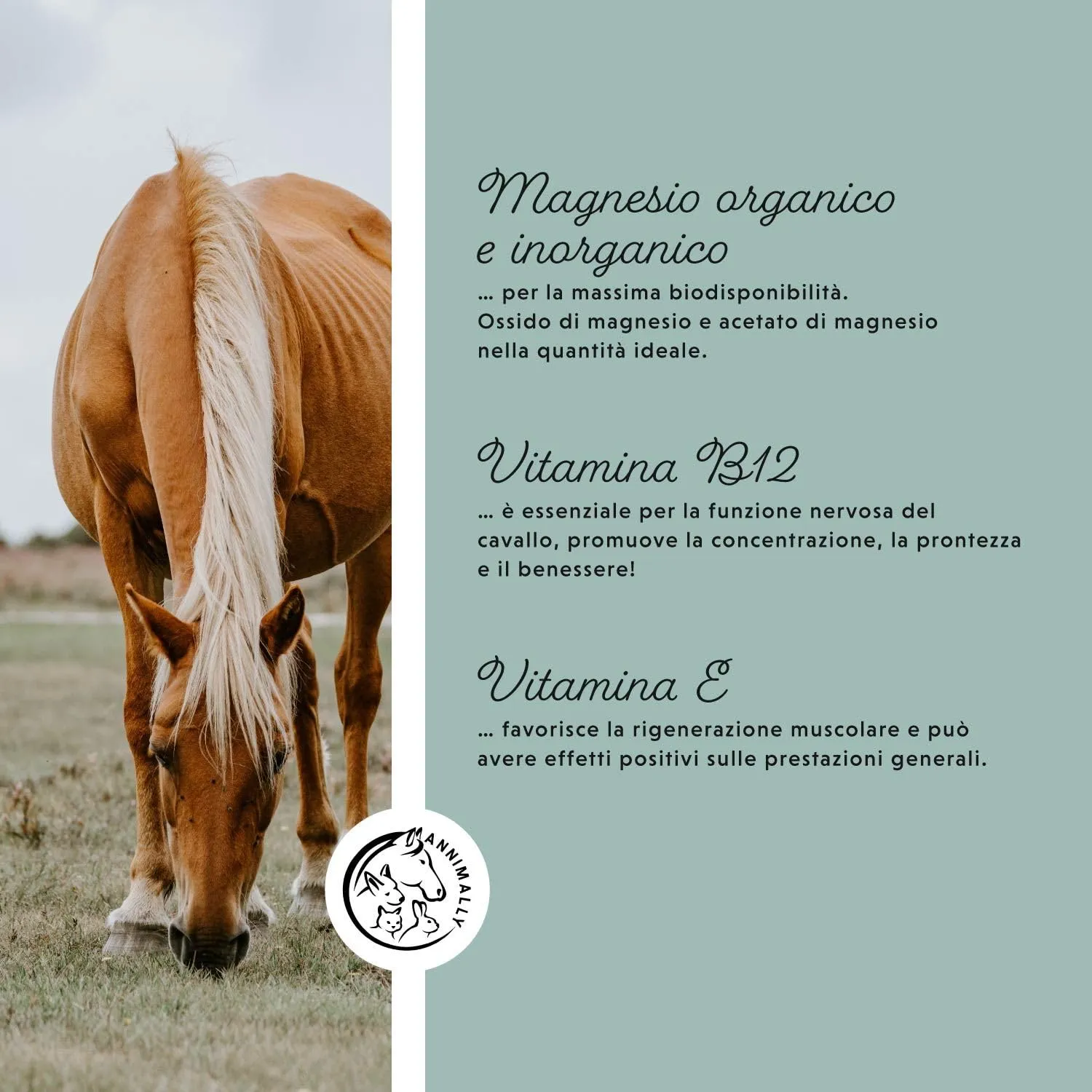 Annimally Pellet di Magnesio per Cavalli 1 kg - Acetato di Magnesio e Ossido di Magnesio per la Massima biodisponibilità - immagine 5