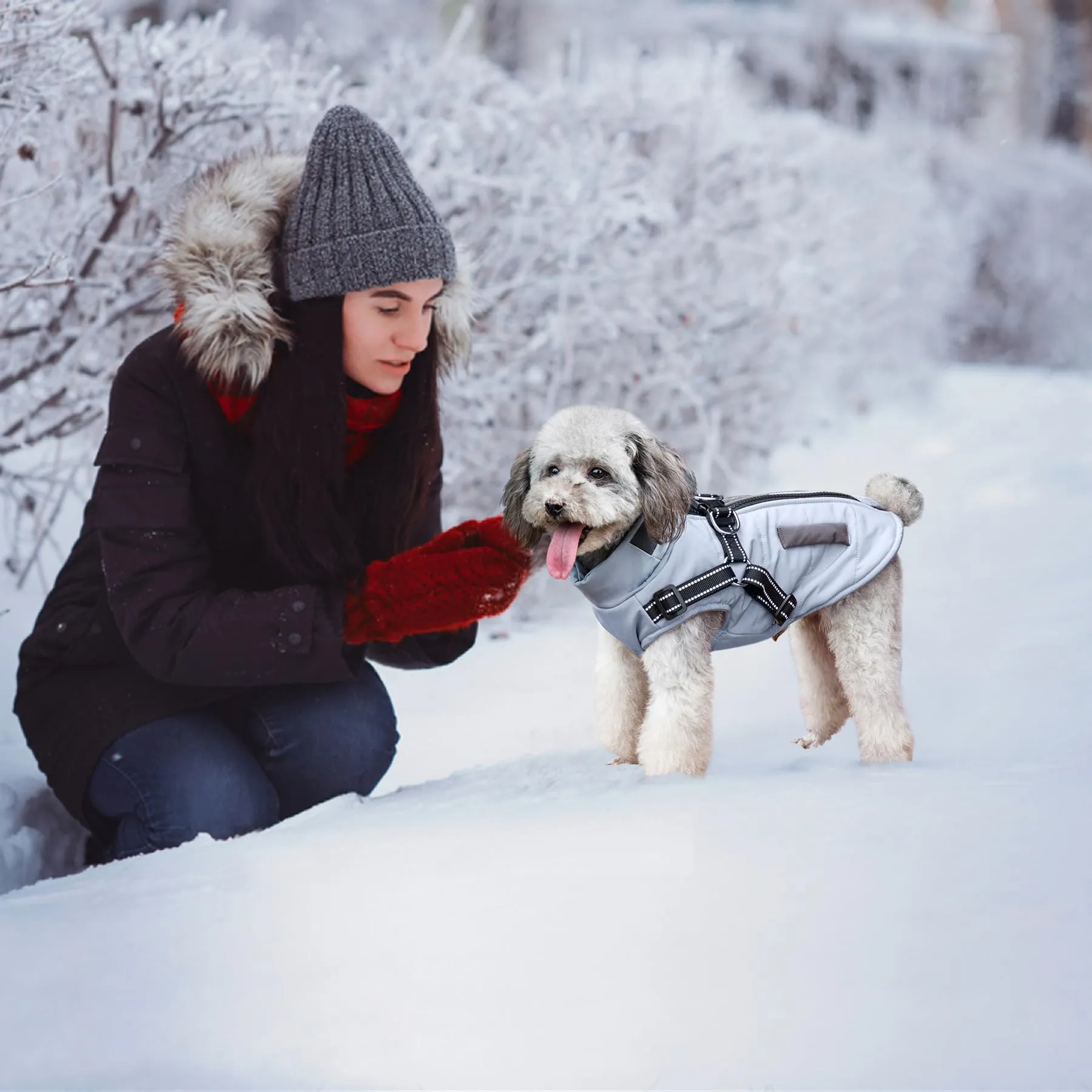 Oslueidy Giubbotti invernali per cani,Cappotti caldi per cani Vestiti per cani Abbigliamento per cani Gilet impermeabile per cuccioli con pettorina per cani di piccola taglia media - immagine 4