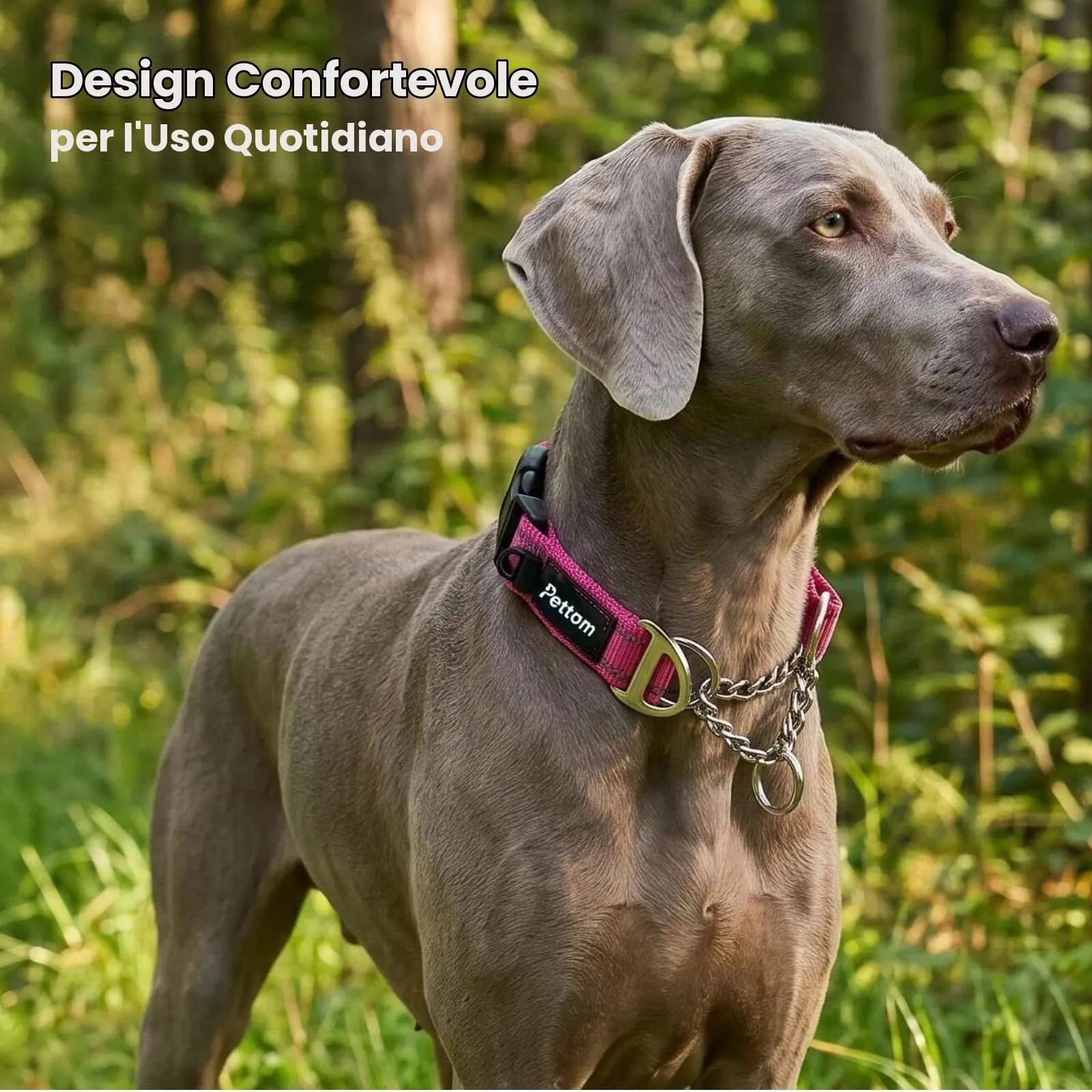 PETTOM Collare Semistrozzo Cane, Sicurezza, Regolabile, Riflettente - immagine 7