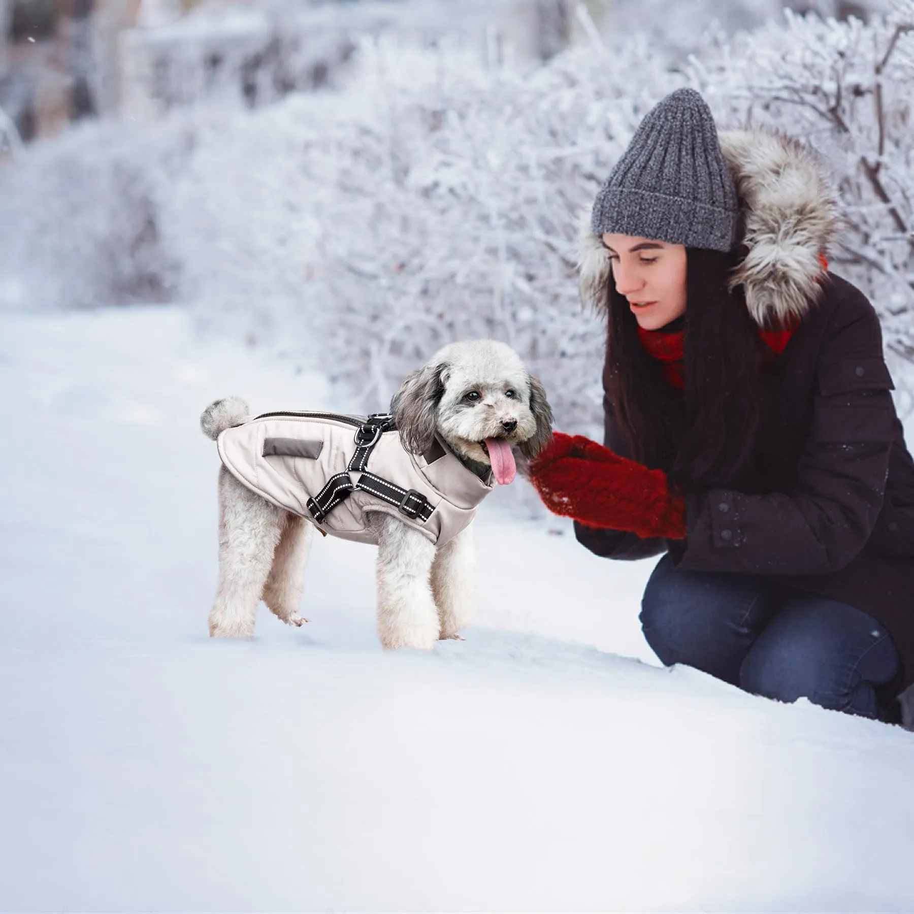Oslueidy Giubbotti invernali per cani,Cappotti caldi per cani Vestiti per cani Abbigliamento per cani Gilet impermeabile per cuccioli con pettorina per cani di piccola taglia media - immagine 4