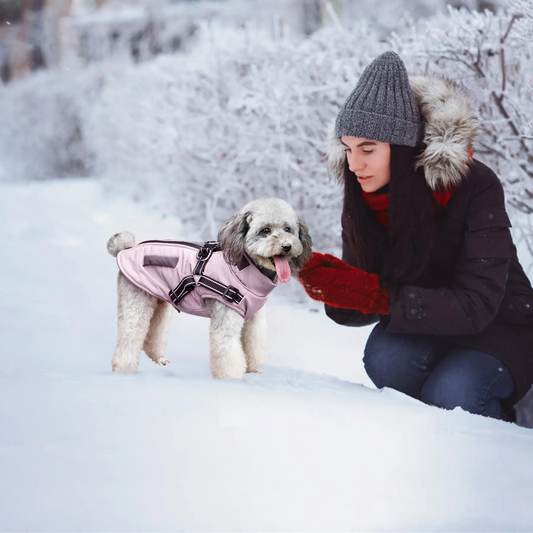 Oslueidy Giubbotti invernali per cani,Cappotti caldi per cani Vestiti per cani Abbigliamento per cani Gilet impermeabile per cuccioli con pettorina per cani di piccola taglia media - immagine 4