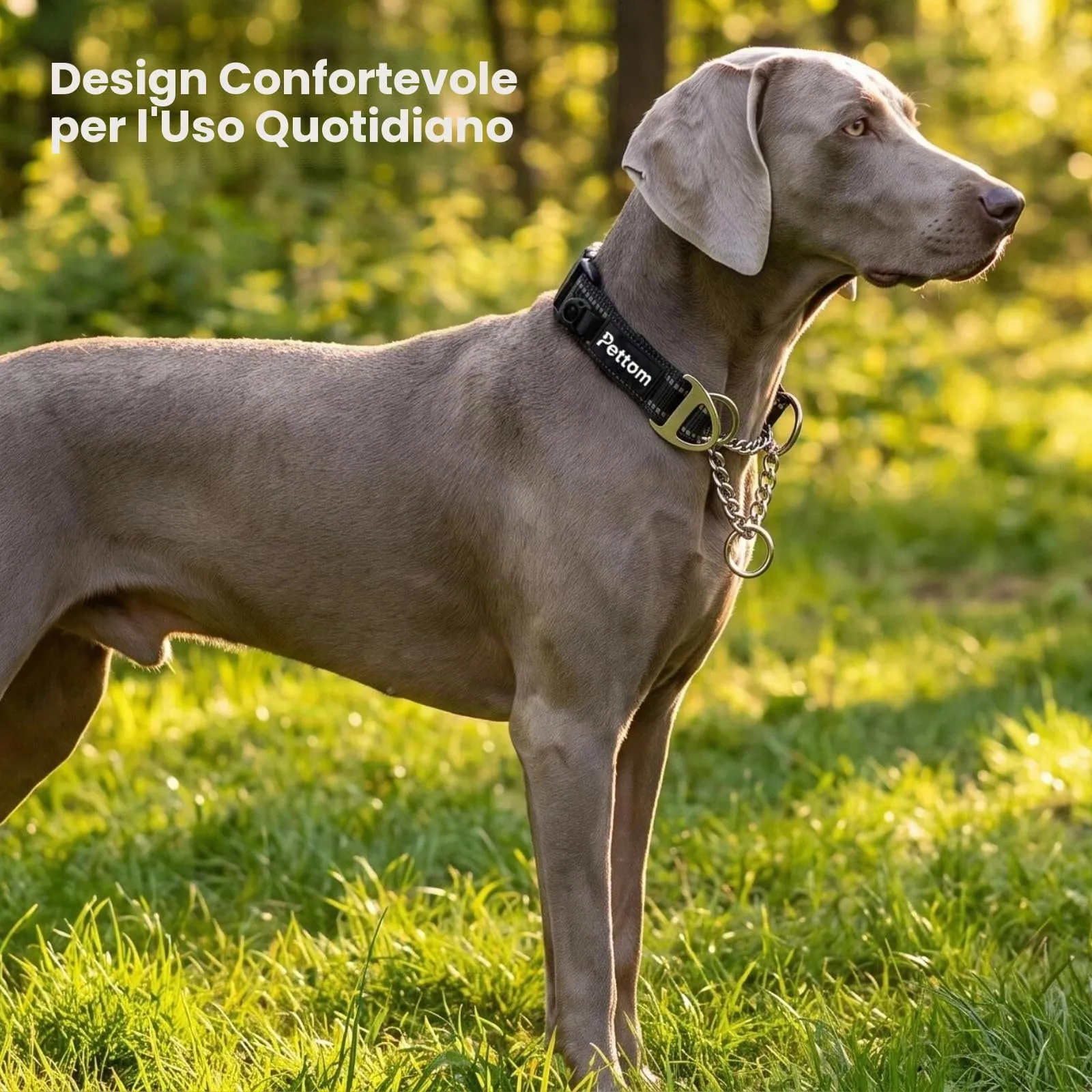 PETTOM Collare Semistrozzo Cane, Sicurezza, Regolabile, Riflettente - immagine 7