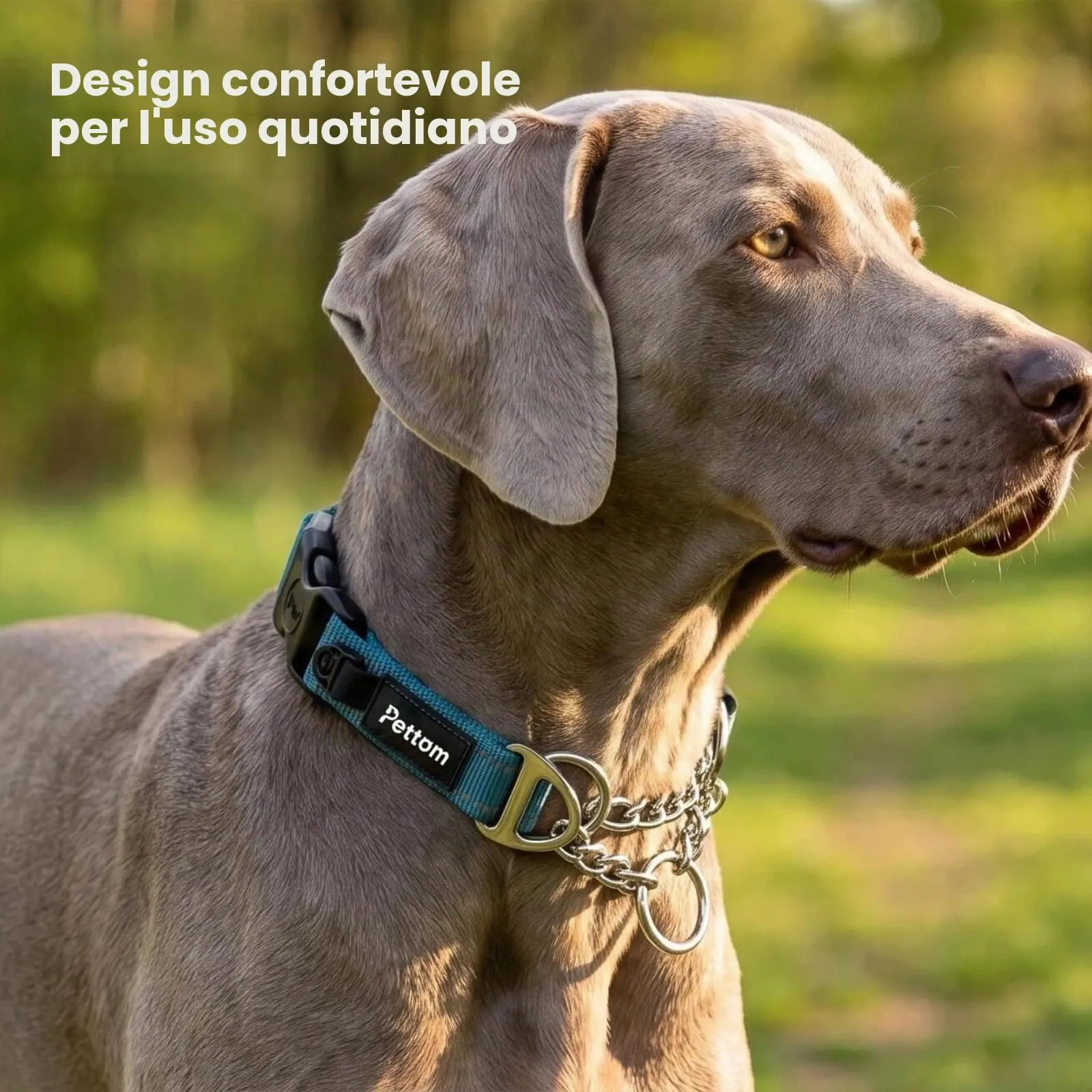 PETTOM Collare Semistrozzo Cane, Sicurezza, Regolabile, Riflettente - immagine 7