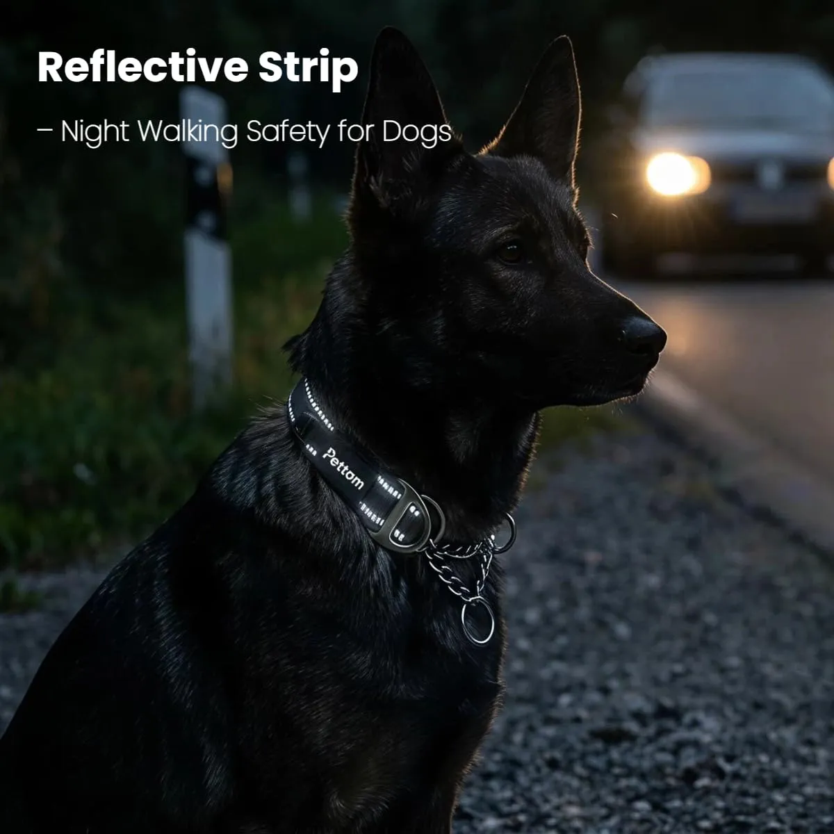 PETTOM Collare Semistrozzo Cane, Sicurezza, Regolabile, Riflettente - immagine 5