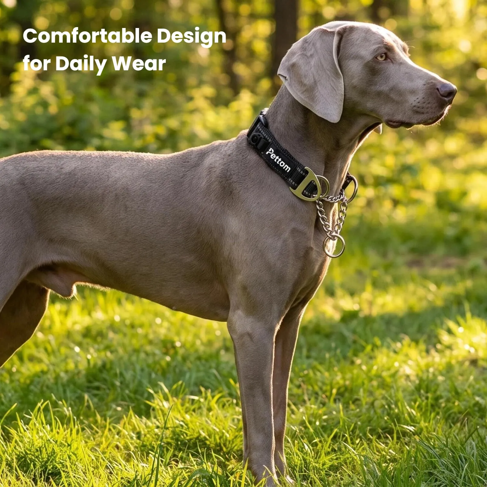 PETTOM Collare Semistrozzo Cane, Sicurezza, Regolabile, Riflettente - immagine 7