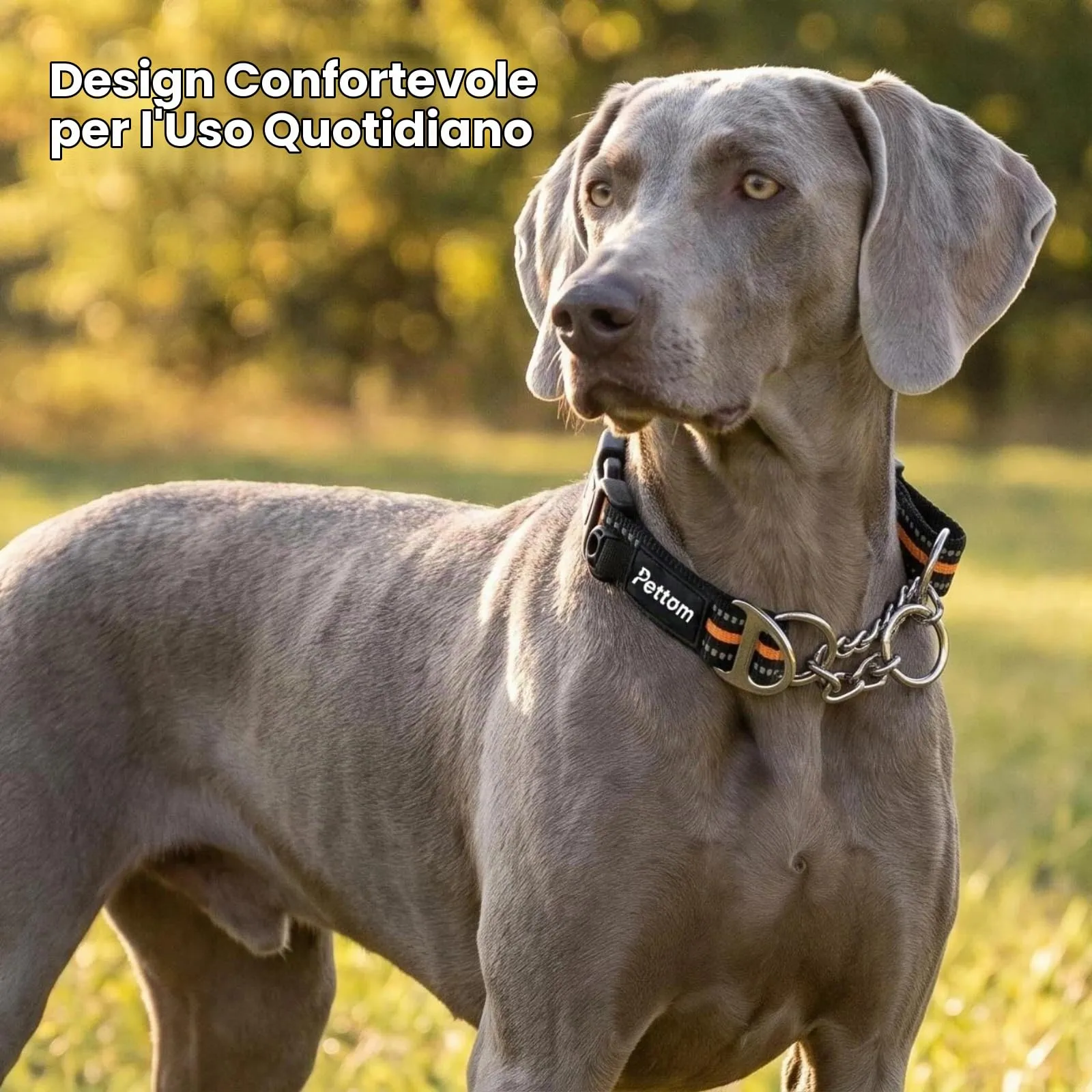 PETTOM Collare Semistrozzo Cane, Sicurezza, Regolabile, Riflettente - immagine 5