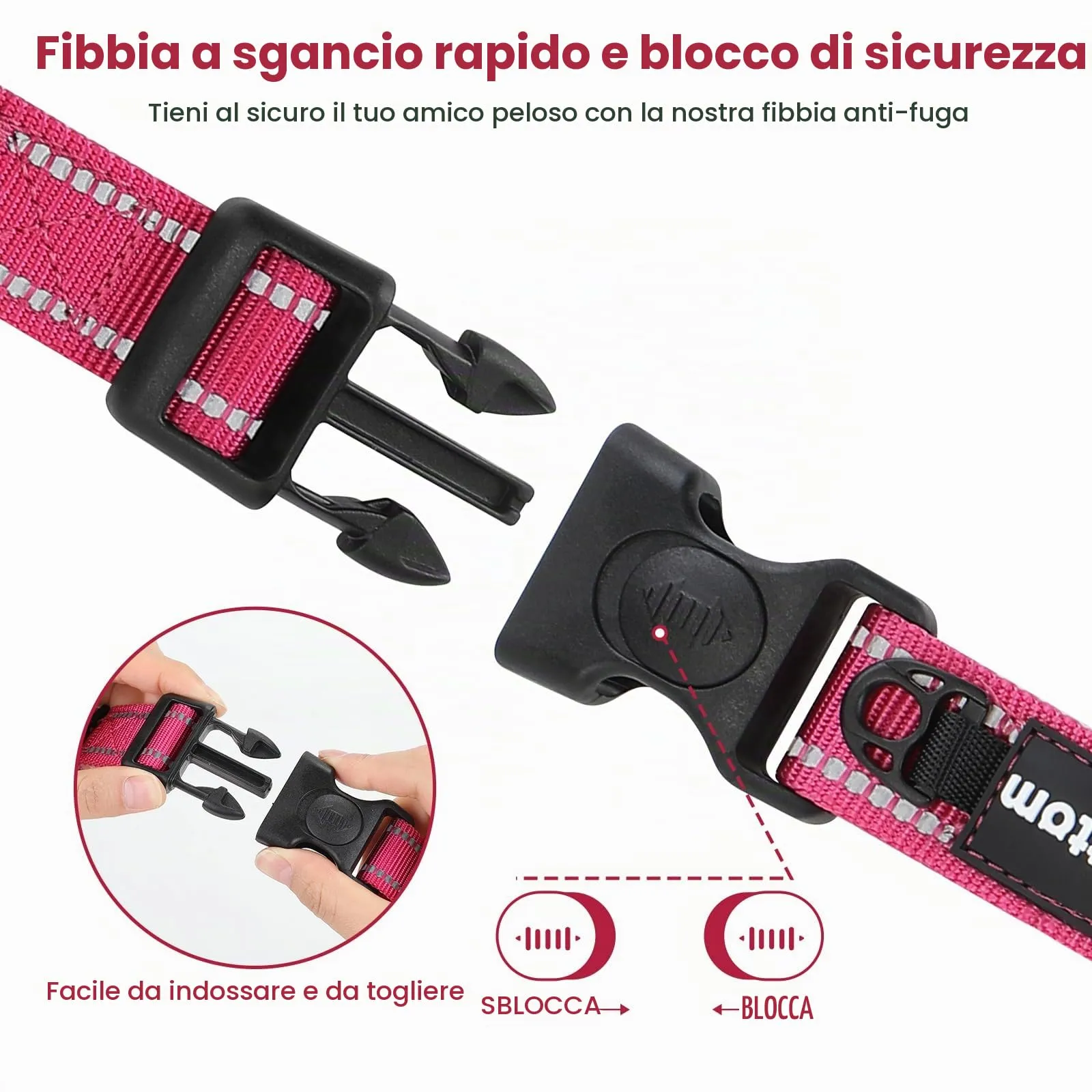 PETTOM Collare Semistrozzo Cane, Sicurezza, Regolabile, Riflettente - immagine 3