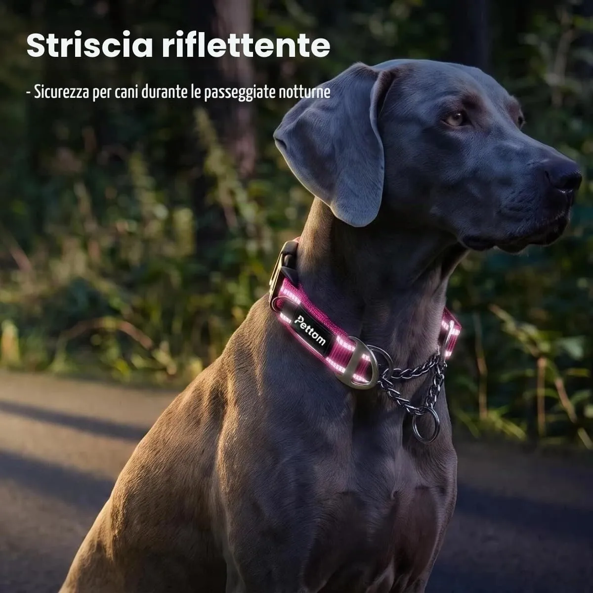 PETTOM Collare Semistrozzo Cane, Sicurezza, Regolabile, Riflettente - immagine 4