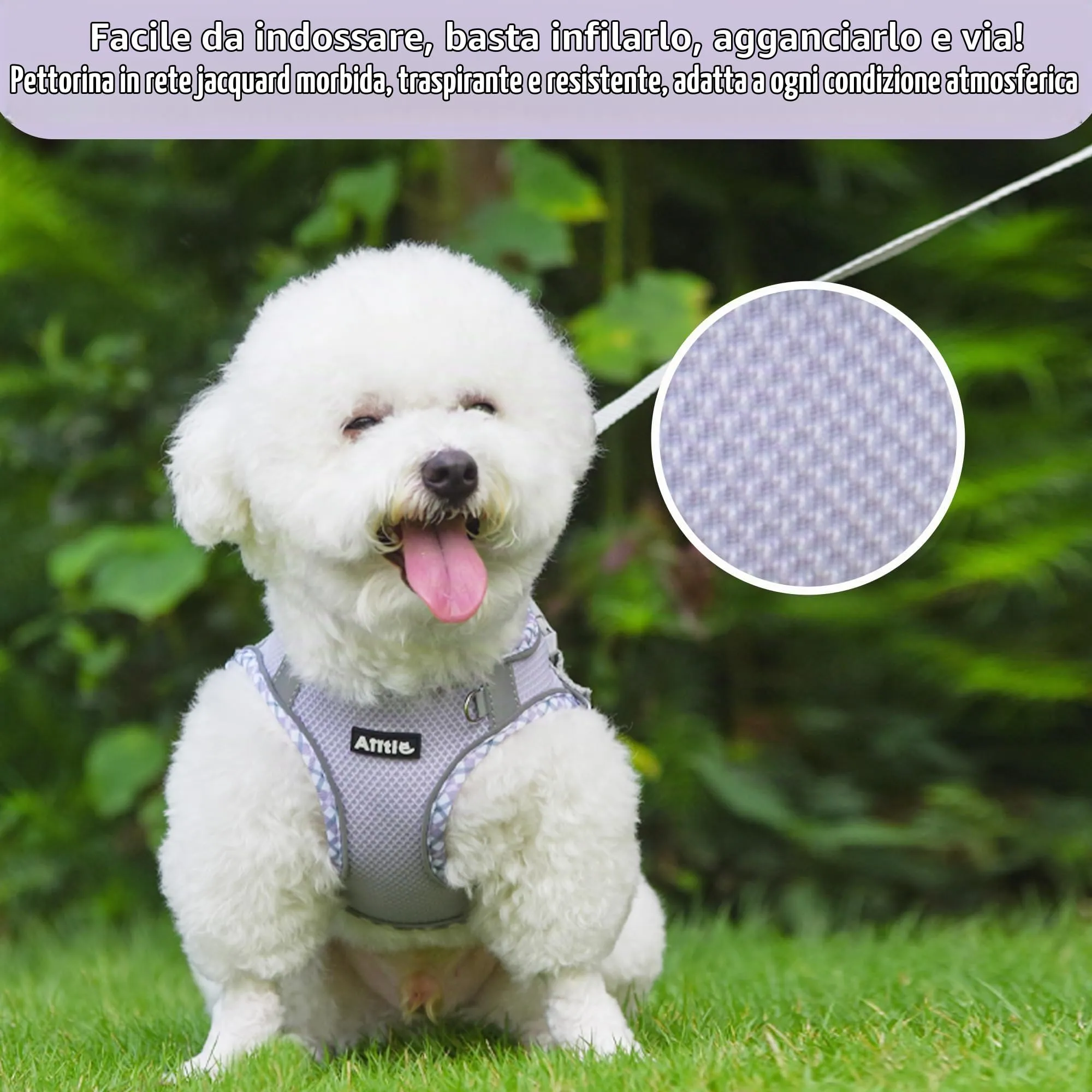 AIITLE Pettorina per cani anti-fuga, gilet anti-tiro con guinzaglio, strisce riflettenti, imbracature regolabili per animali domestici all'aperto per cani di taglia media, Viola XXS - immagine 6