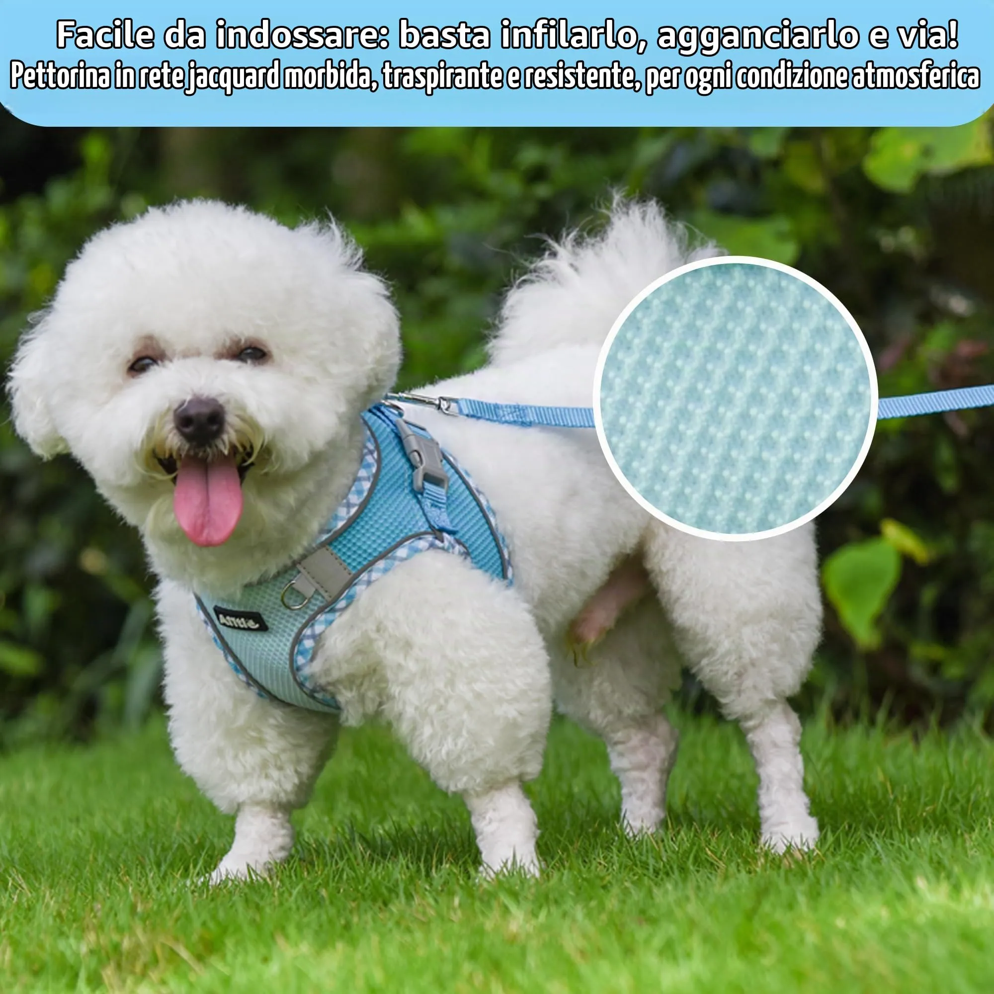 AIITLE Pettorina per cani anti-fuga, gilet anti-tiro con guinzaglio, strisce riflettenti, imbracature regolabili per animali domestici all'aperto per cani di taglia media, Blu XXXS - immagine 3