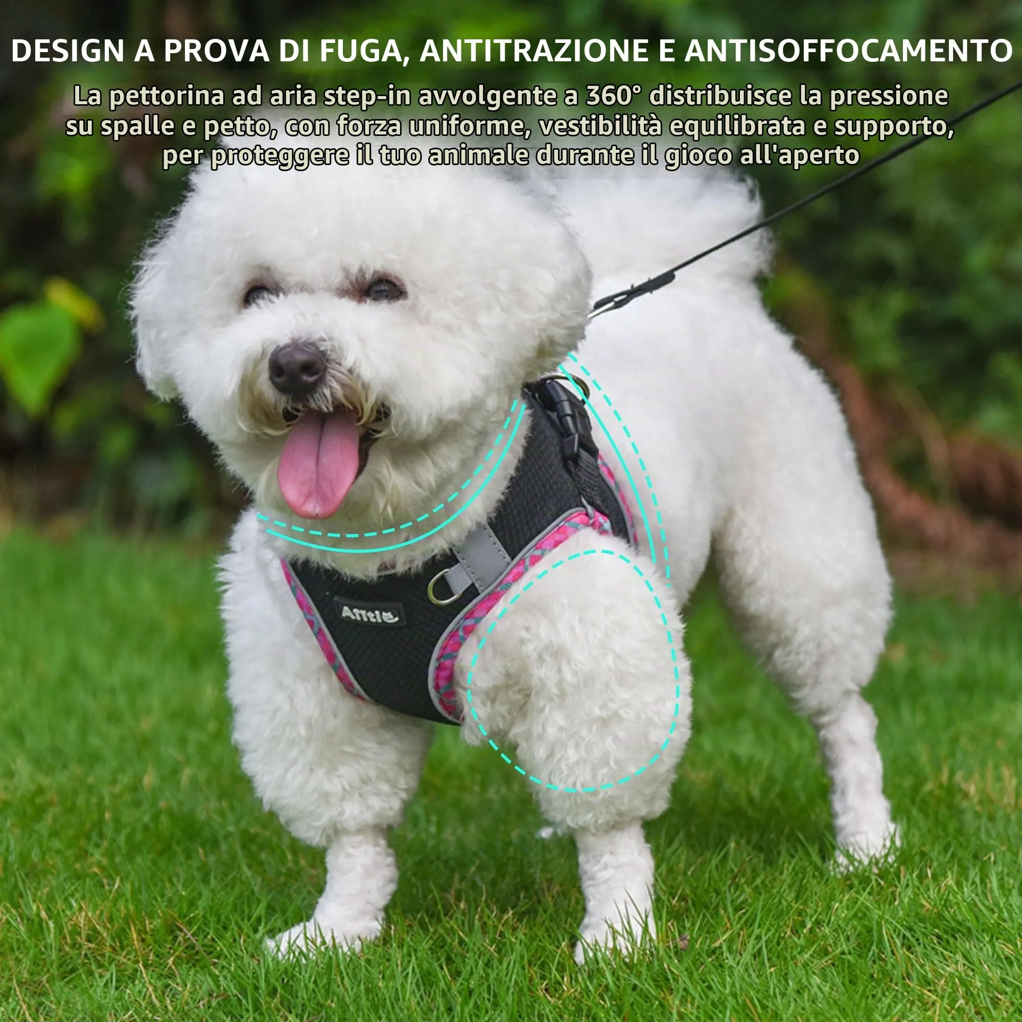 AIITLE Pettorina per cani anti-fuga, gilet anti-tiro con guinzaglio, strisce riflettenti, imbracature regolabili per animali domestici all'aperto per cani di taglia media, Nero XXS - immagine 8