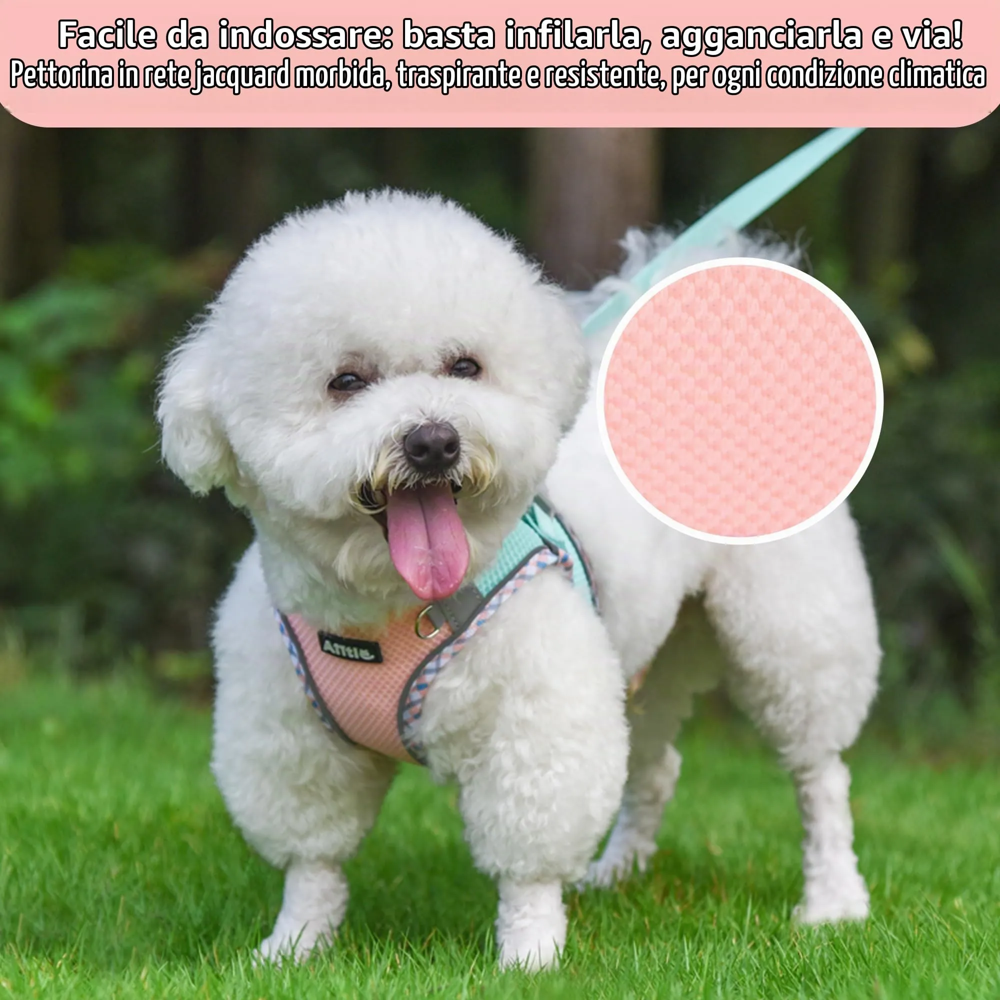 AIITLE Pettorina per cani anti-fuga, gilet anti-tiro con guinzaglio, strisce riflettenti, imbracature regolabili per animali domestici all'aperto per cani di taglia media, Turchese-Rosa XXXS - immagine 2