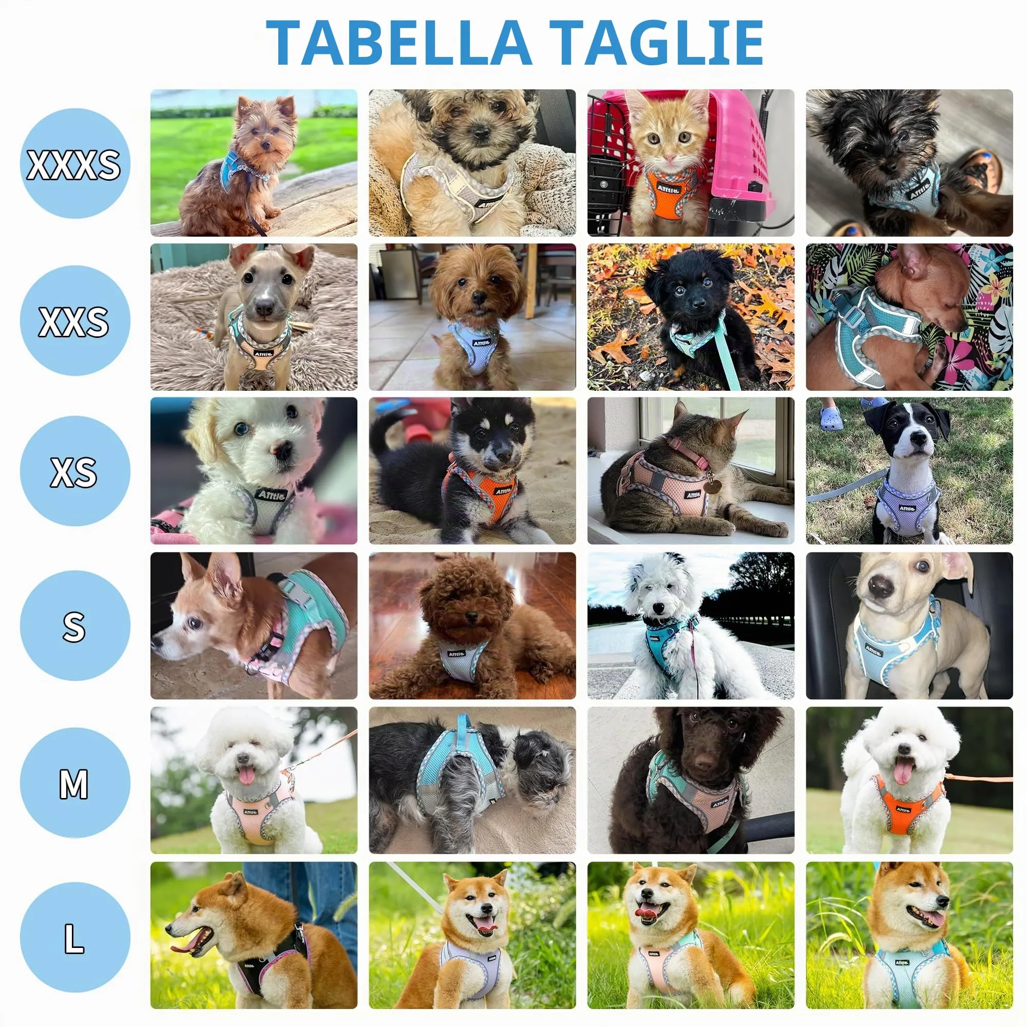 AIITLE Pettorina per cani anti-fuga, gilet anti-tiro con guinzaglio, strisce riflettenti, imbracature regolabili per animali domestici all'aperto per cani di taglia media, Turchese-Rosa XXXS - immagine 4