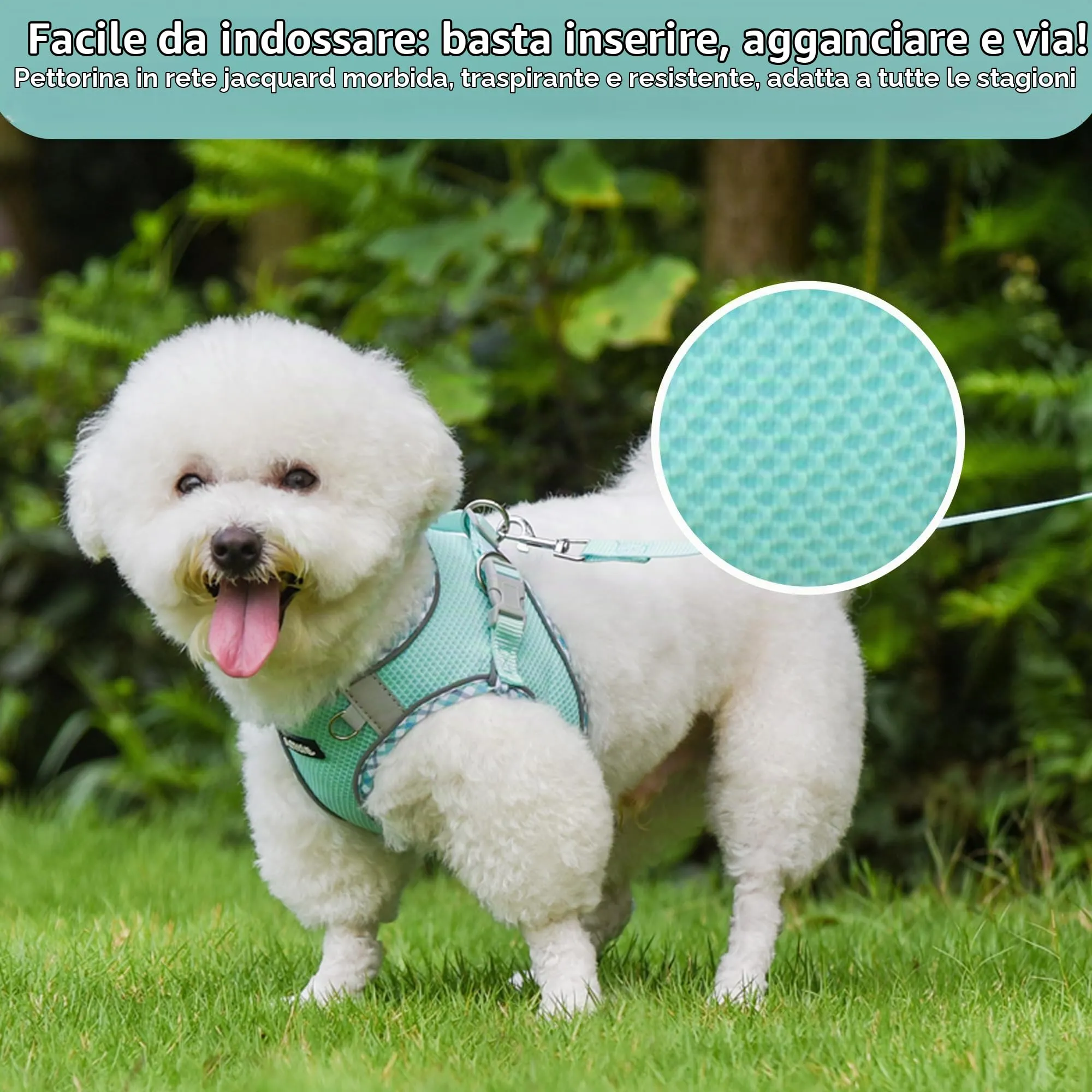 AIITLE Pettorina per cani anti-fuga, gilet anti-tiro con guinzaglio, strisce riflettenti, imbracature regolabili per animali domestici all'aperto per cani di taglia media, Turchese XXXS - immagine 6