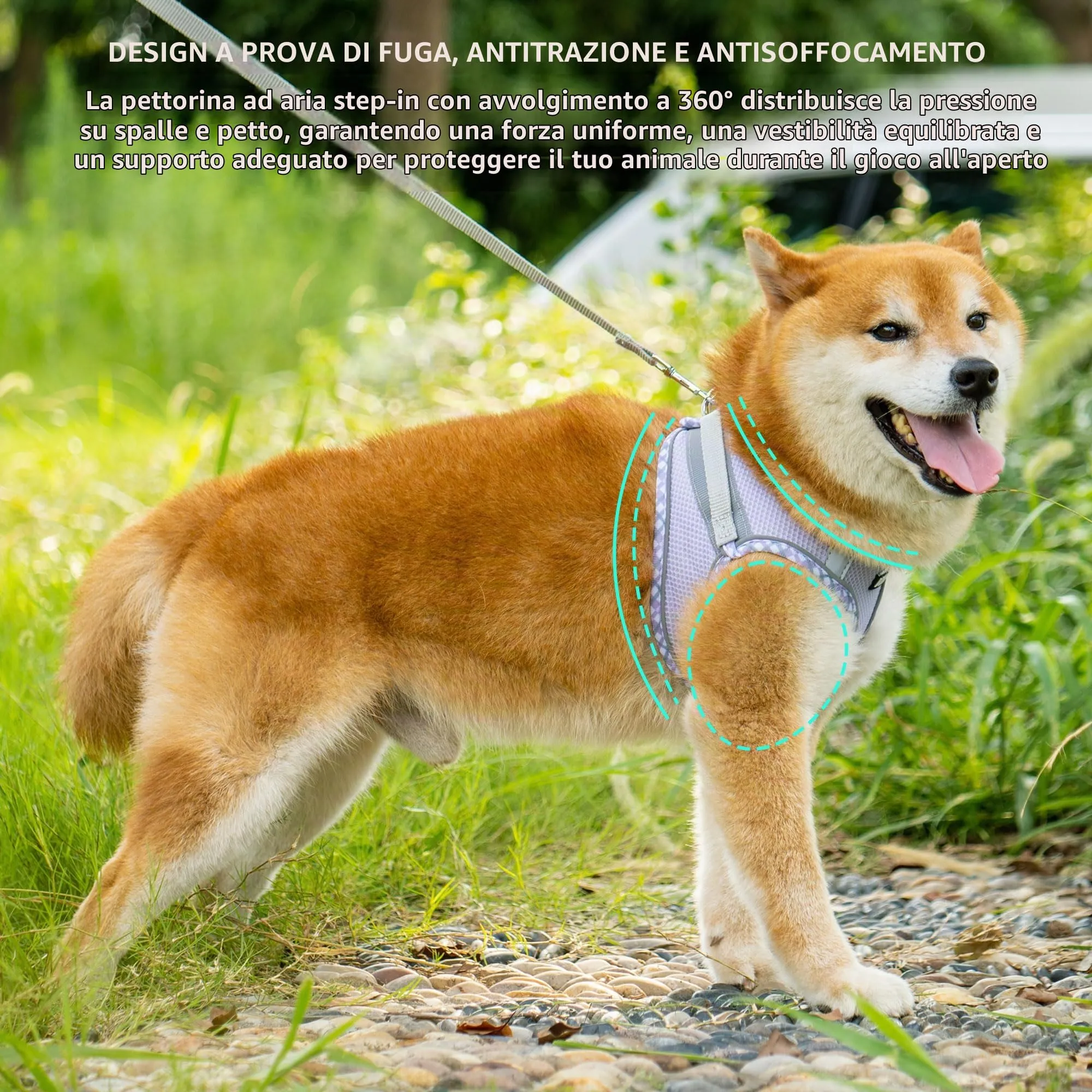 AIITLE Pettorina per cani anti-fuga, gilet anti-tiro con guinzaglio, strisce riflettenti, imbracature regolabili per animali domestici all'aperto per cani di taglia media, Viola S - immagine 2