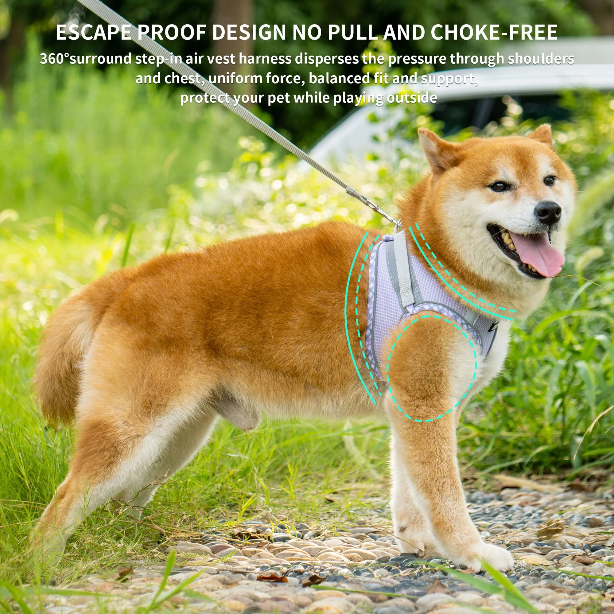 AIITLE Pettorina per cani anti-fuga, gilet anti-tiro con guinzaglio, strisce riflettenti, imbracature regolabili per animali domestici all'aperto per cani di taglia media, Viola L - immagine 3