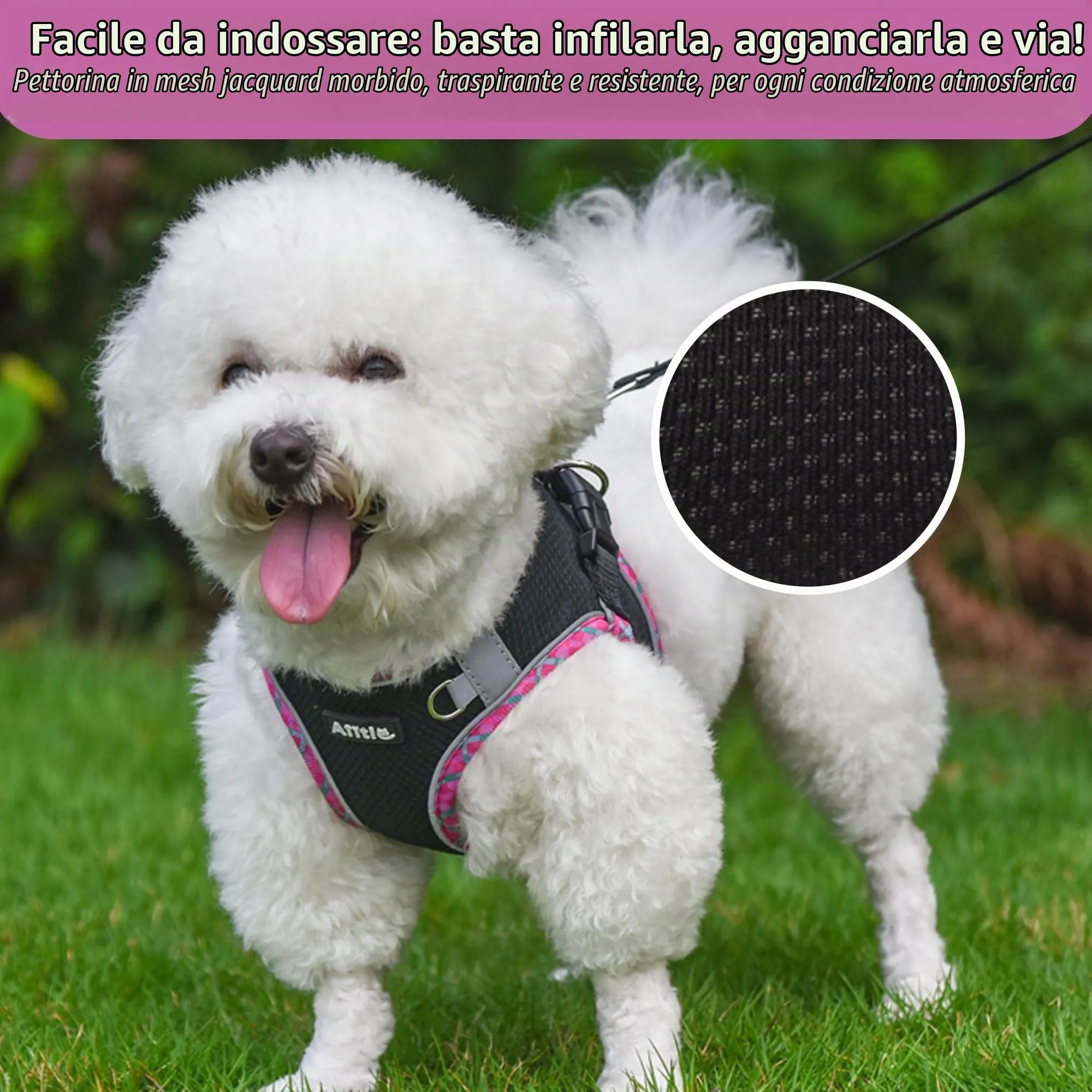 AIITLE Pettorina per cani anti-fuga, gilet anti-tiro con guinzaglio, strisce riflettenti, imbracature regolabili per animali domestici all'aperto per cani di taglia media, Nero XXXS - immagine 9
