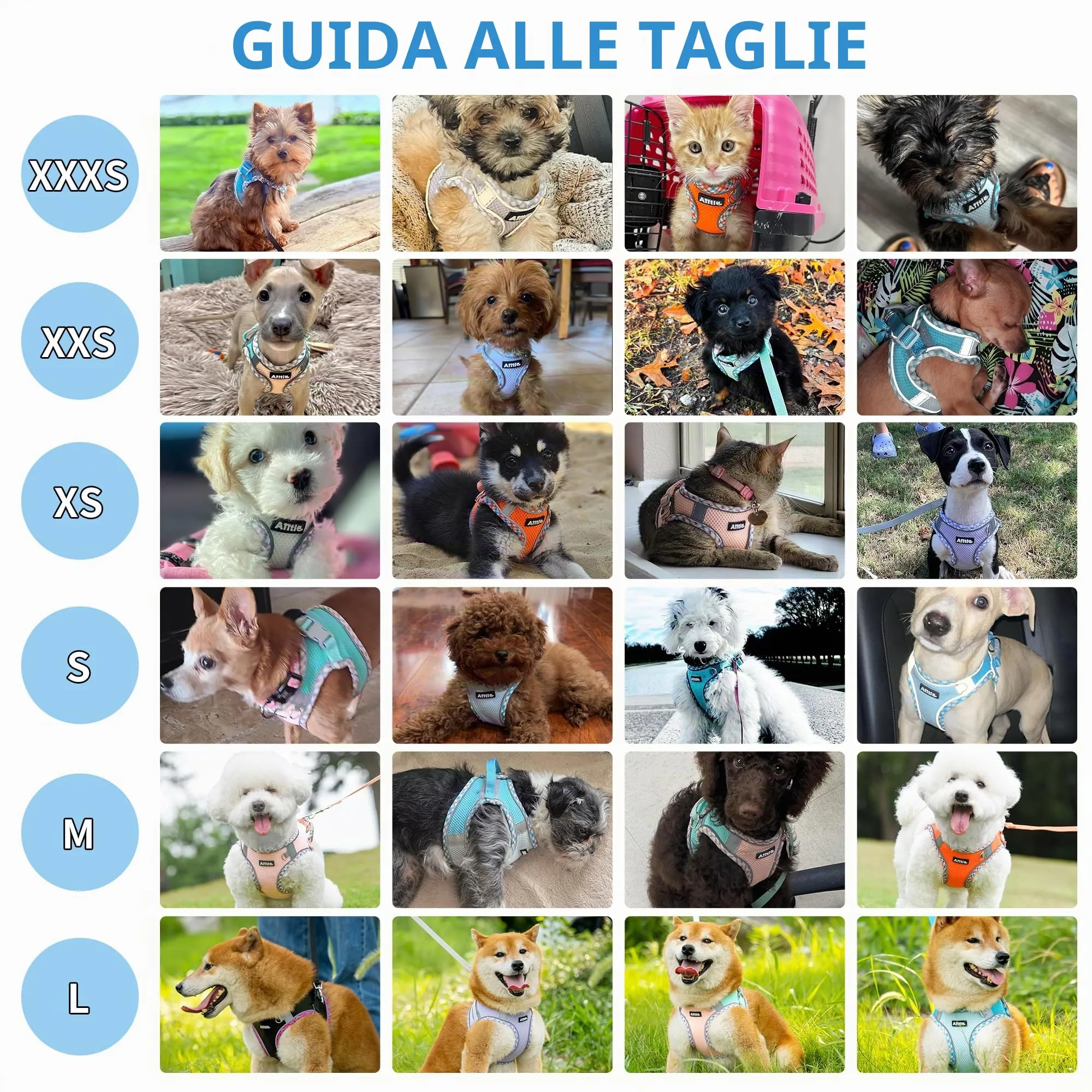 AIITLE Pettorina per cani anti-fuga, gilet anti-tiro con guinzaglio, strisce riflettenti, imbracature regolabili per animali domestici all'aperto per cani di taglia media, Viola XXXS - immagine 8