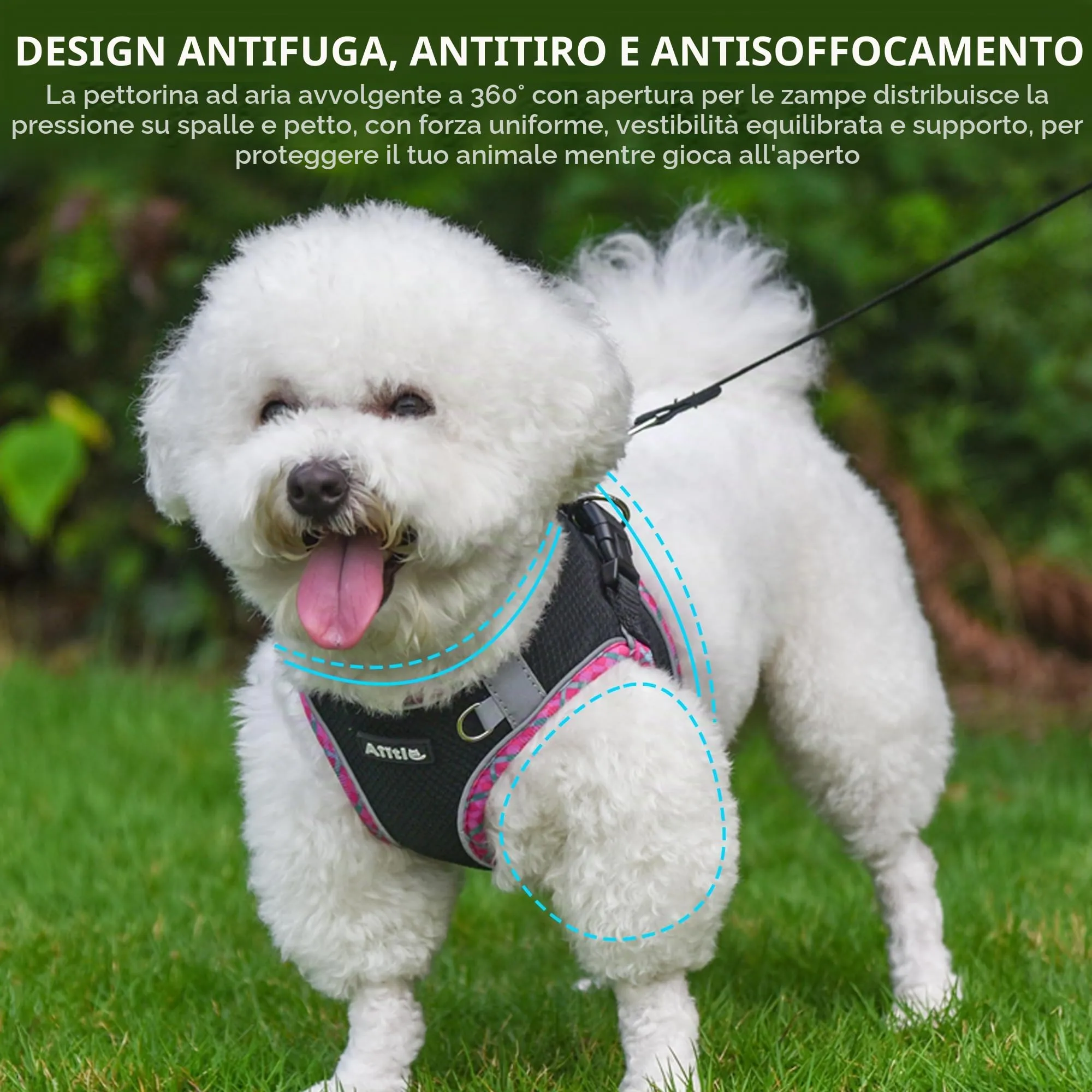AIITLE Pettorina per cani anti-fuga, gilet anti-tiro con guinzaglio, strisce riflettenti, imbracature regolabili per animali domestici all'aperto per cani di taglia media, Nero S - immagine 4