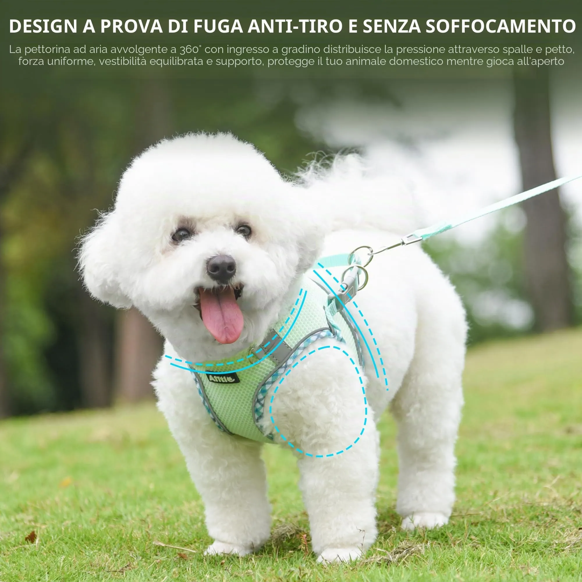 AIITLE Pettorina per cani anti-fuga, gilet anti-tiro con guinzaglio, strisce riflettenti, imbracature regolabili per animali domestici all'aperto per cani di taglia media, Saggio S - immagine 2