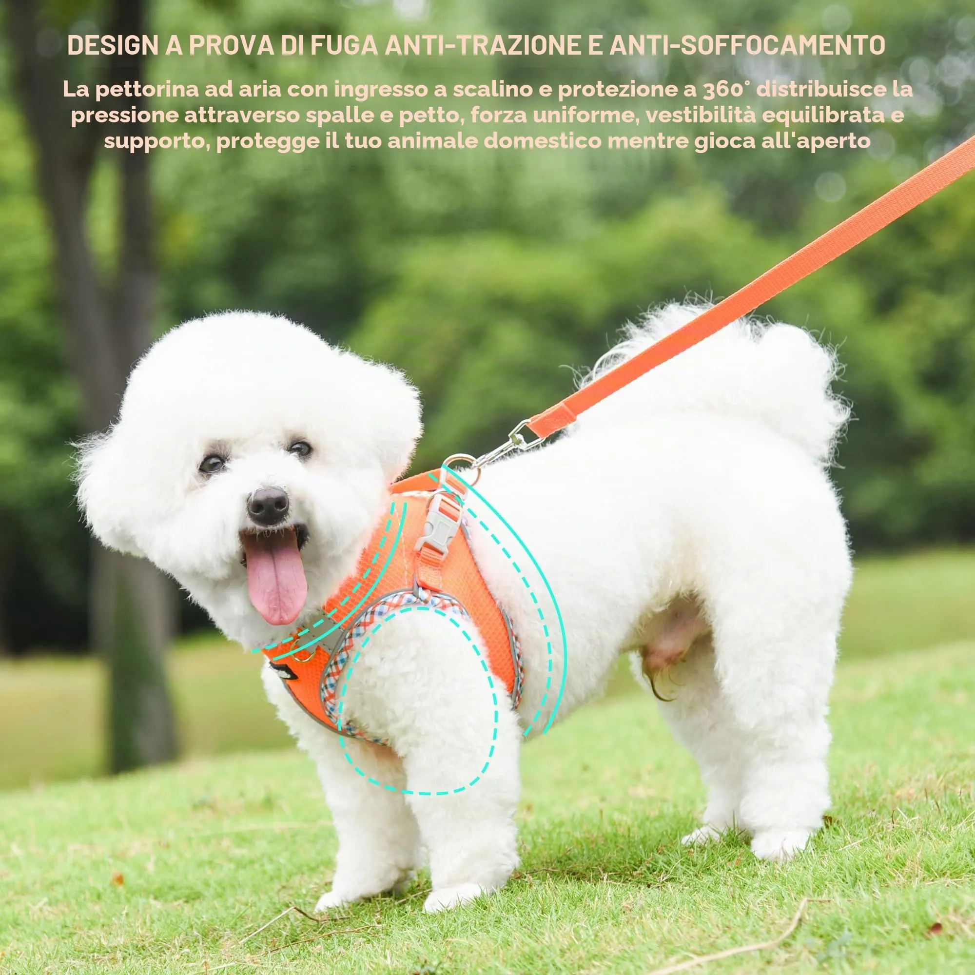 AIITLE Pettorina per cani anti-fuga, gilet anti-tiro con guinzaglio, strisce riflettenti, imbracature regolabili per animali domestici all'aperto per cani di taglia media, Arancia XXXS - immagine 5