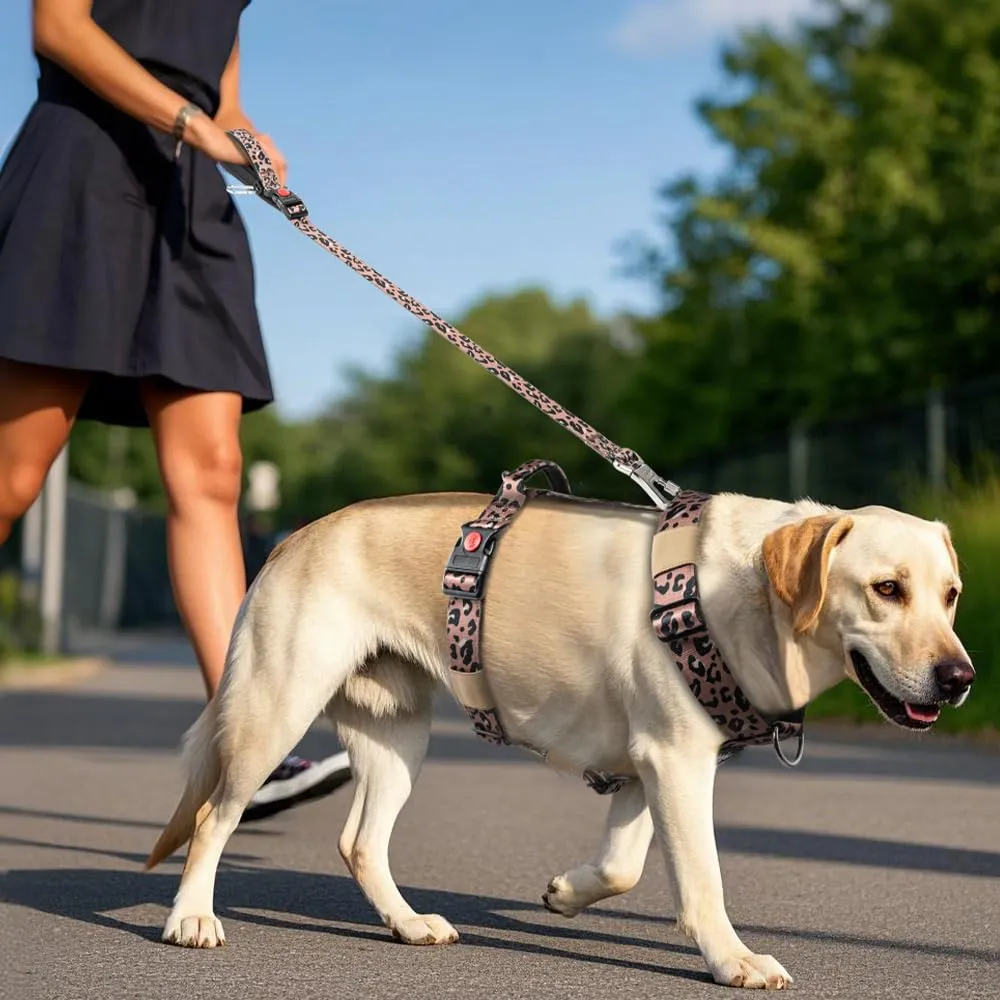 TSPRO Pettorina Cane Robusta No Pull con Maniglia per Cani Medi e Grandi - immagine 5