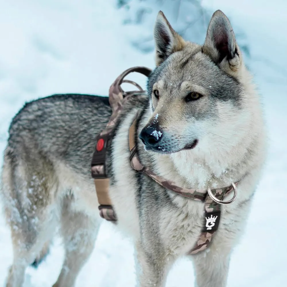TSPRO Pettorina Cane Robusta No Pull con Maniglia per Cani Medi e Grandi - immagine 6
